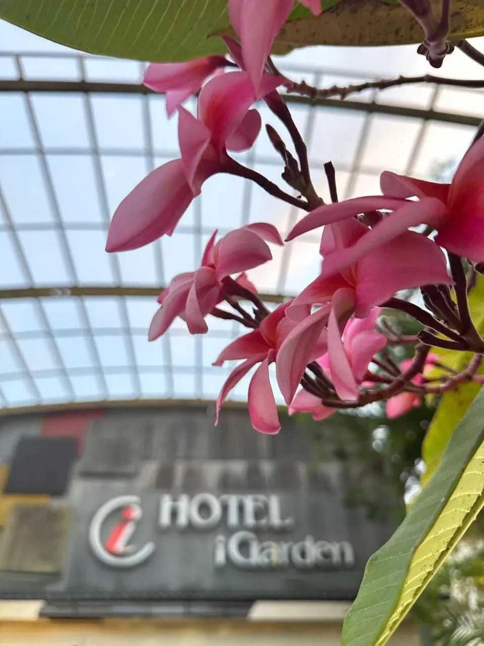 Property building in I Garden Hotel