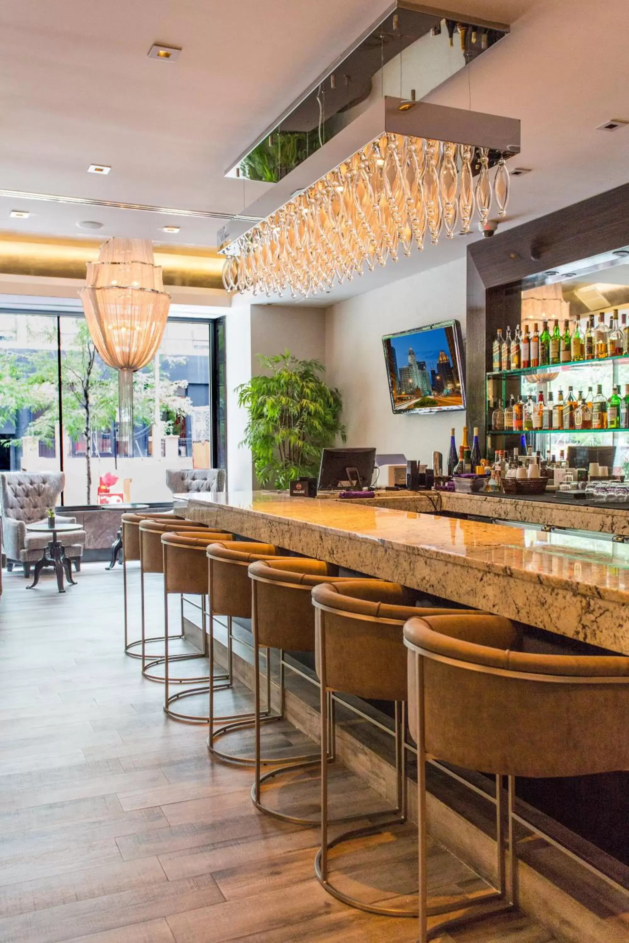 Lounge or bar in Ivy Boutique Hotel Lounge or bar in Ivy Boutique Hotel