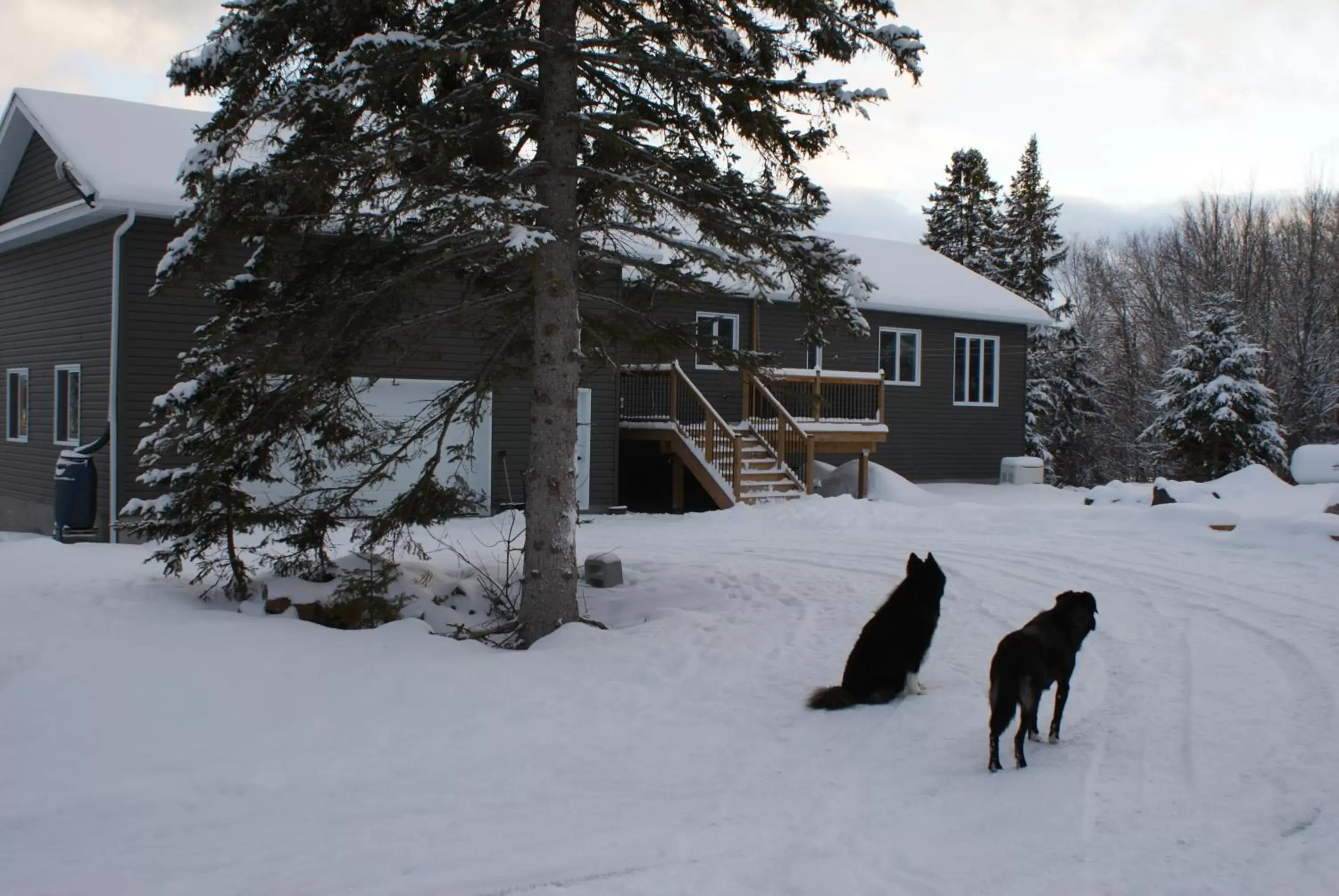 Winter in Top of Algonquin Bed and Breakfast