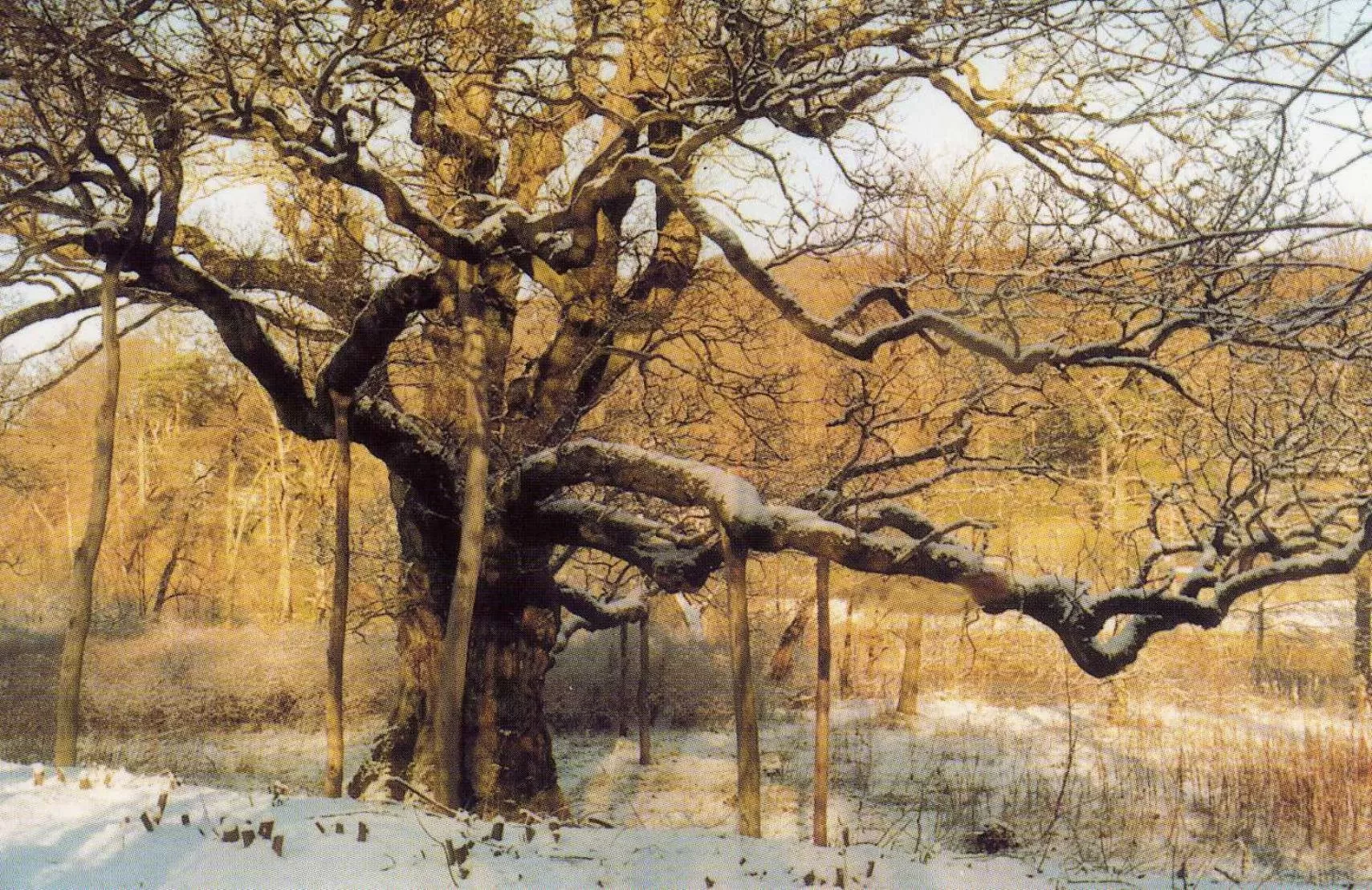 Natural landscape in Birnam Hotel