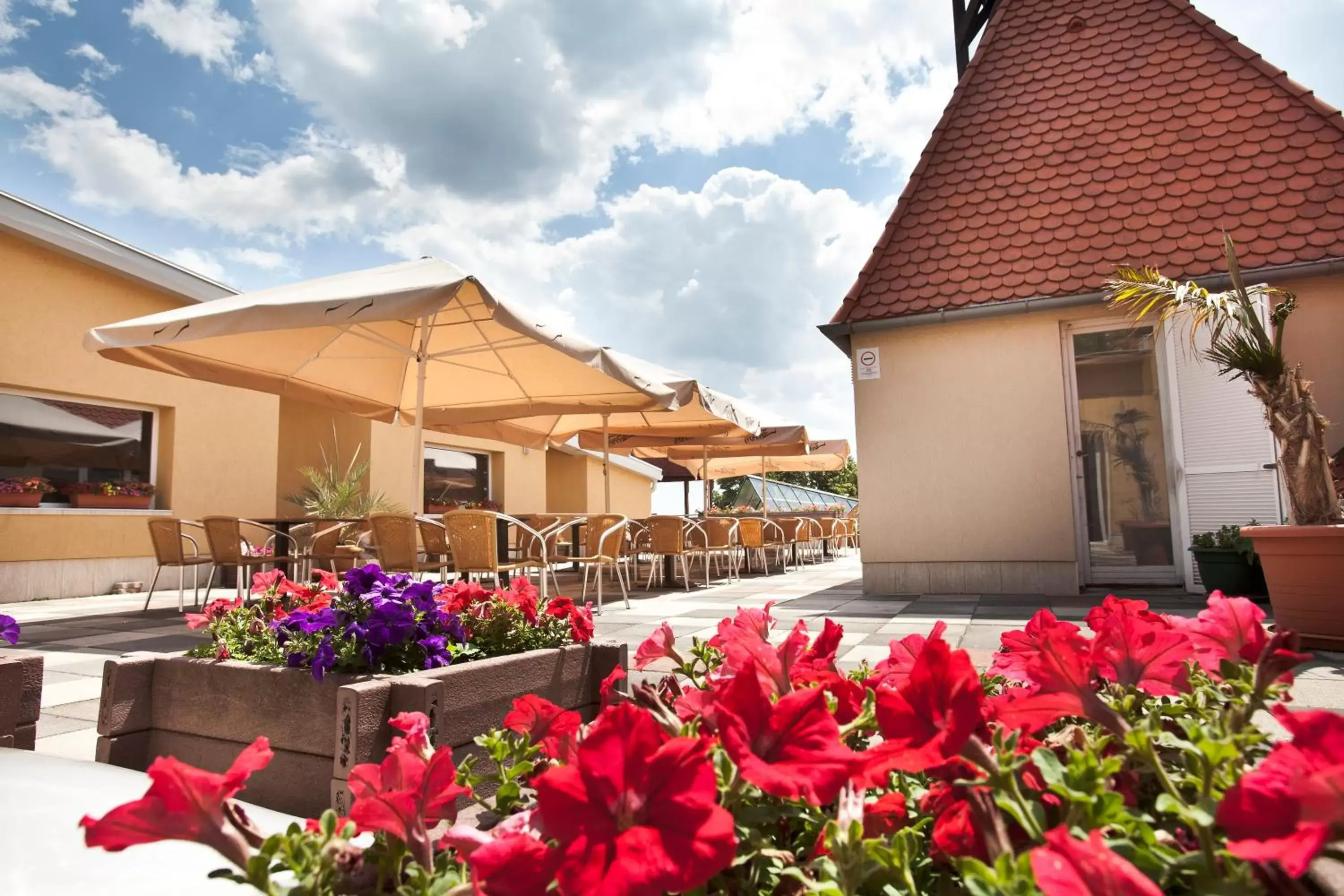 Restaurant/places to eat in Hotel Makar Sport & Wellness Restaurant/places to eat in Hotel Makar Sport & Wellness