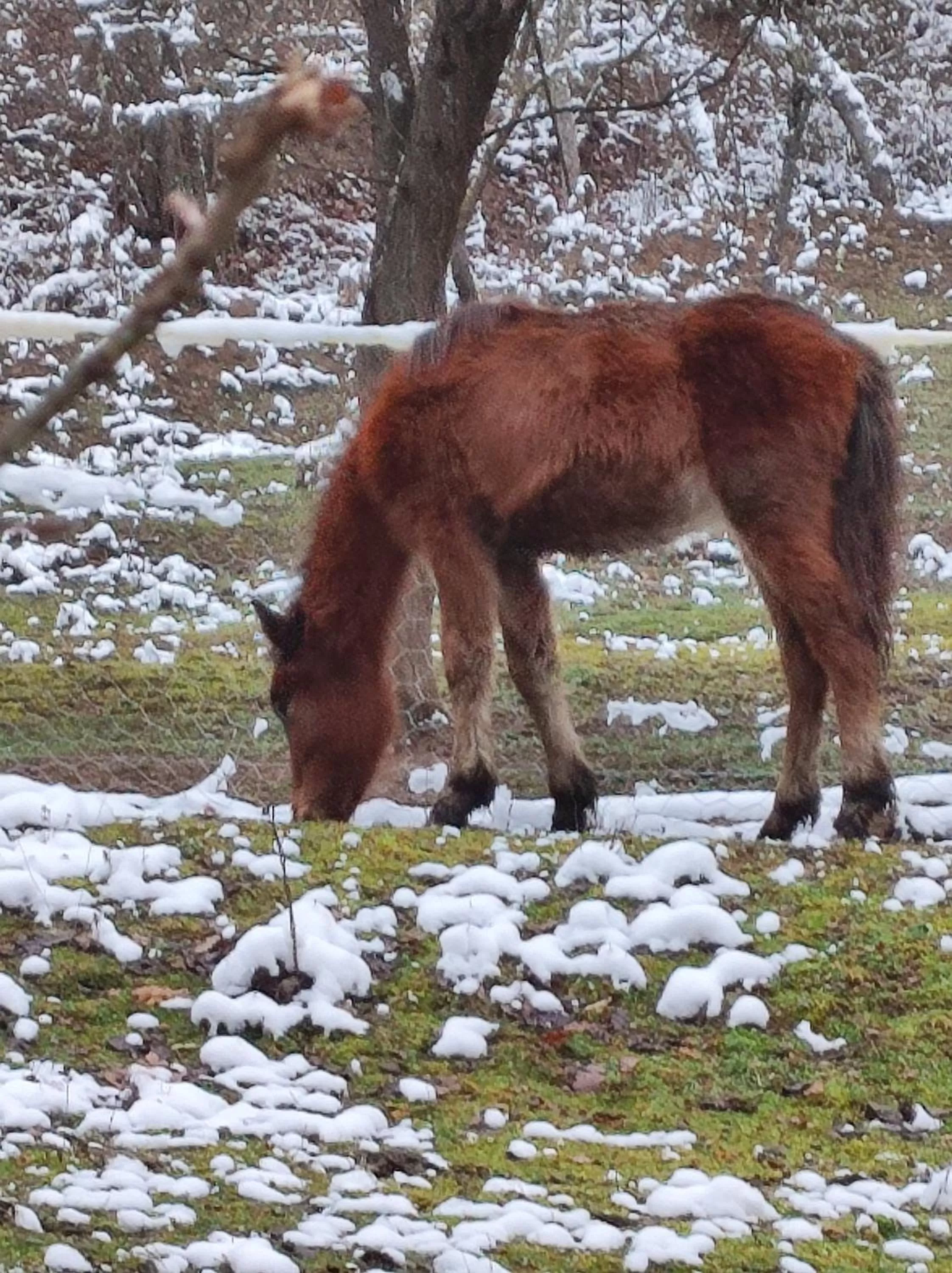 Etno selo Vile Jefimija, selo Preobrazenje, Vranje