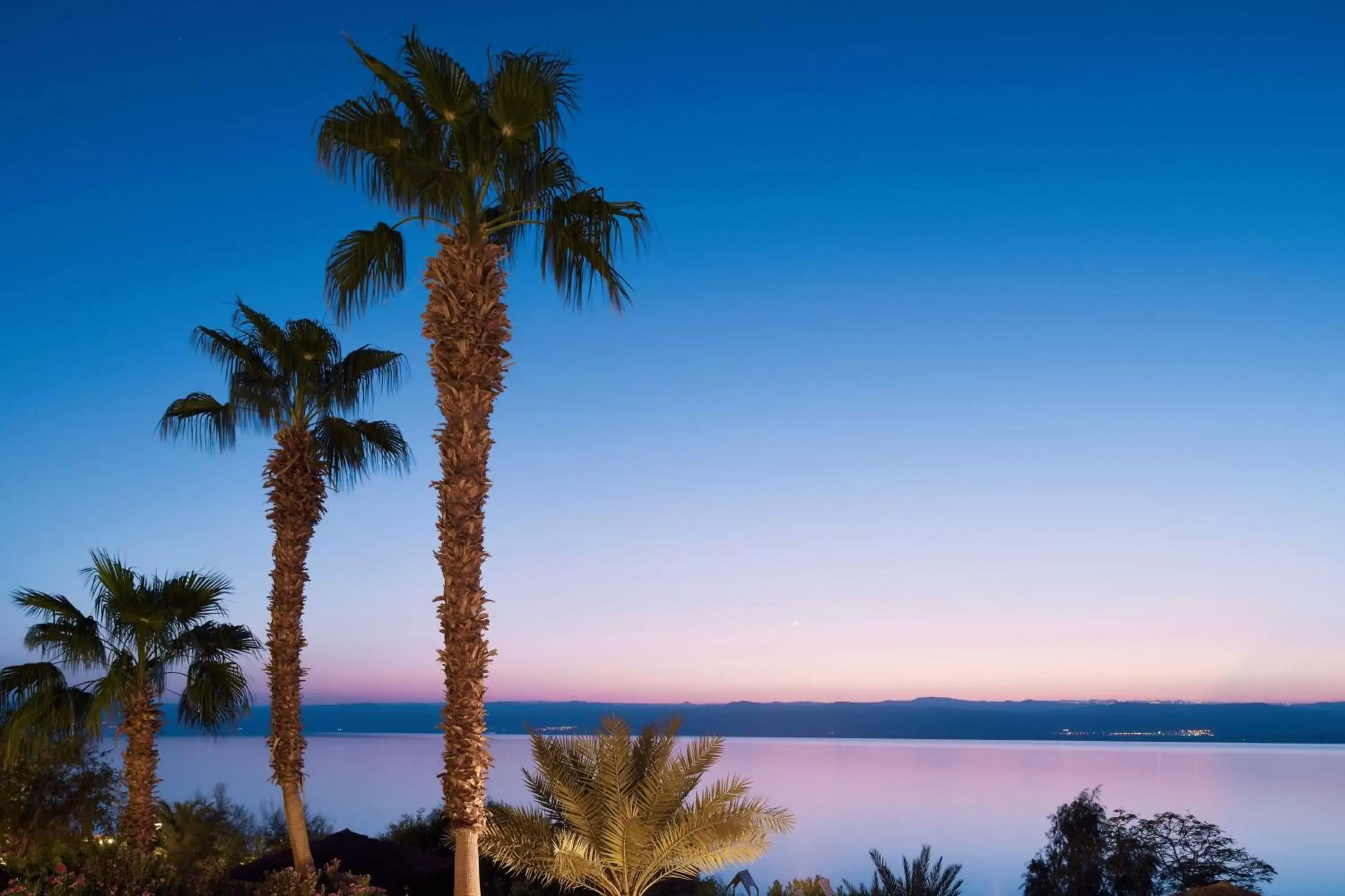 Other in Dead Sea Marriott Resort & Spa
