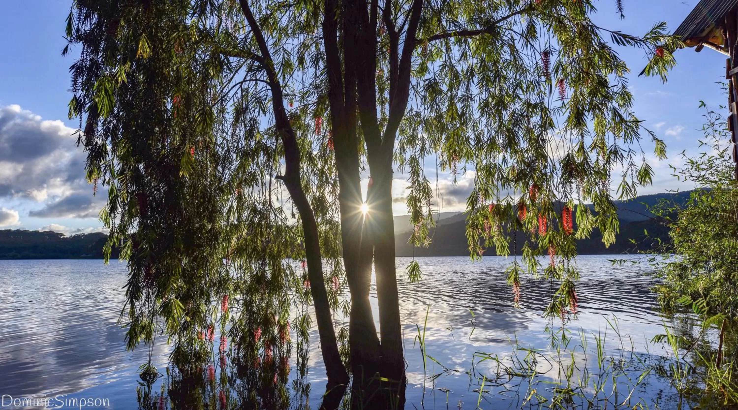 Lake view in The Lake House Dalat