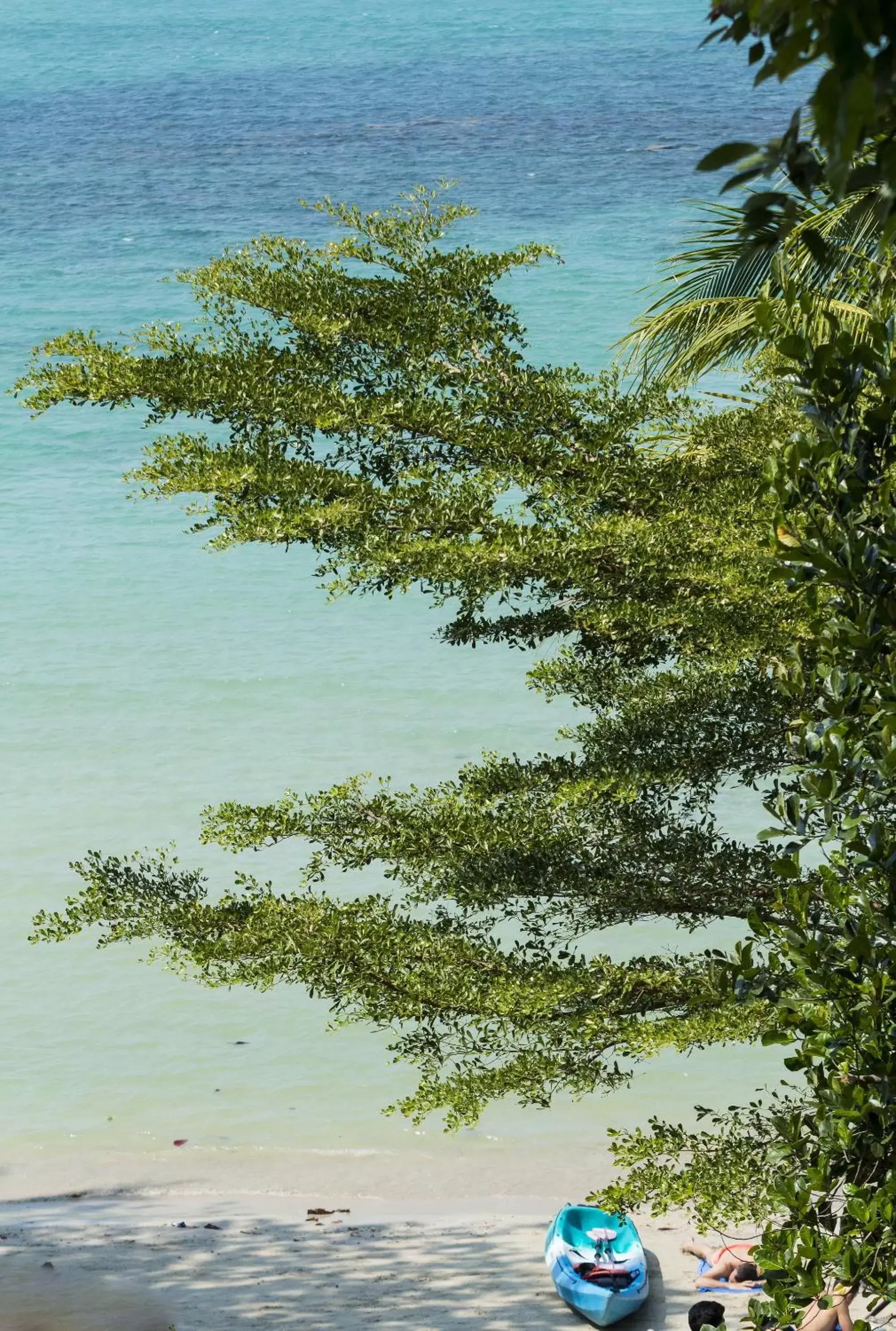 View (from property/room), Beach in Siam Bay Resort