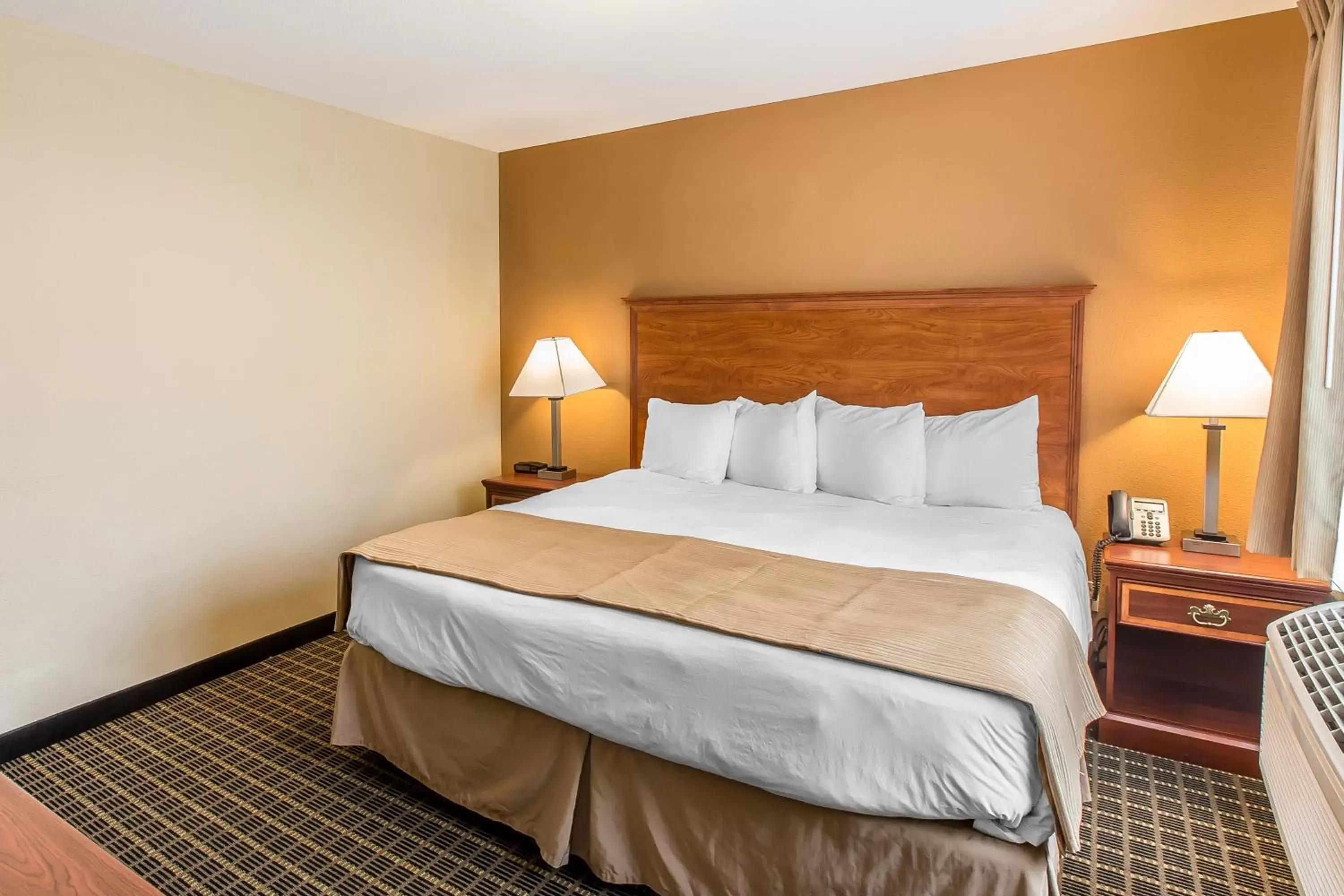 Efficiency King Suite with Sofa Bed - Non-Smoking in Quality Inn & Suites On The River