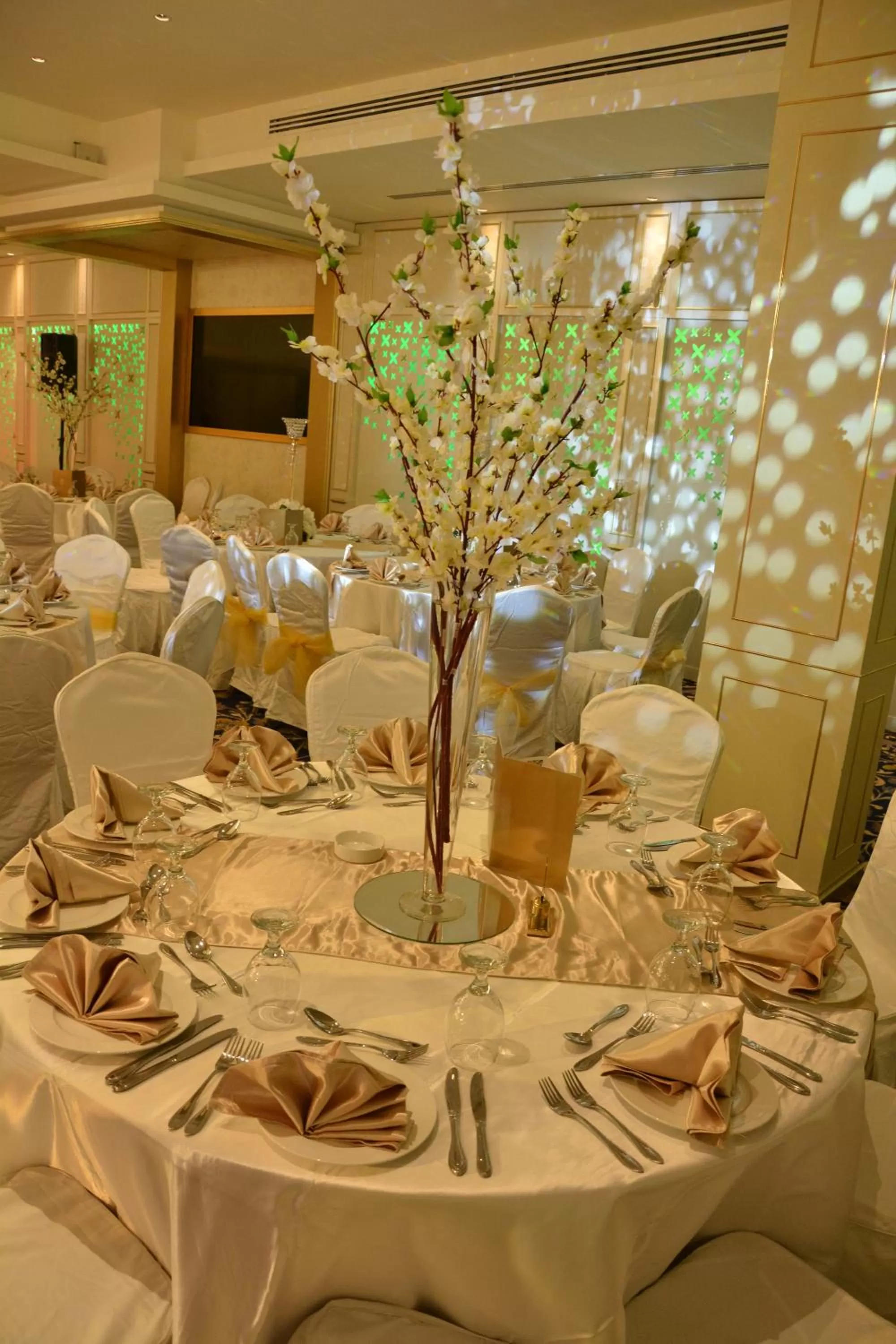 wedding, Banquet Facilities in Harir Palace Hotel