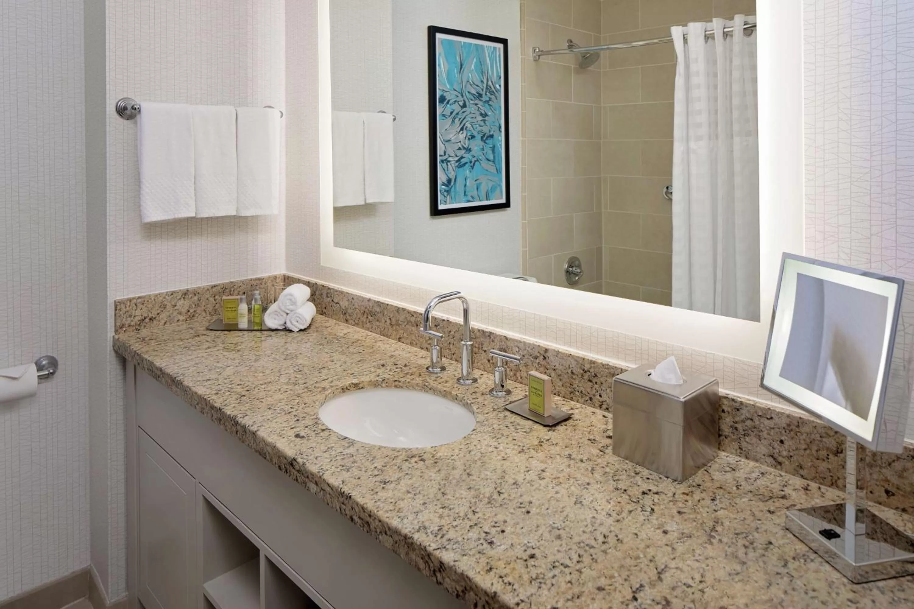 Bathroom in DoubleTree by Hilton Chicago Magnificent Mile