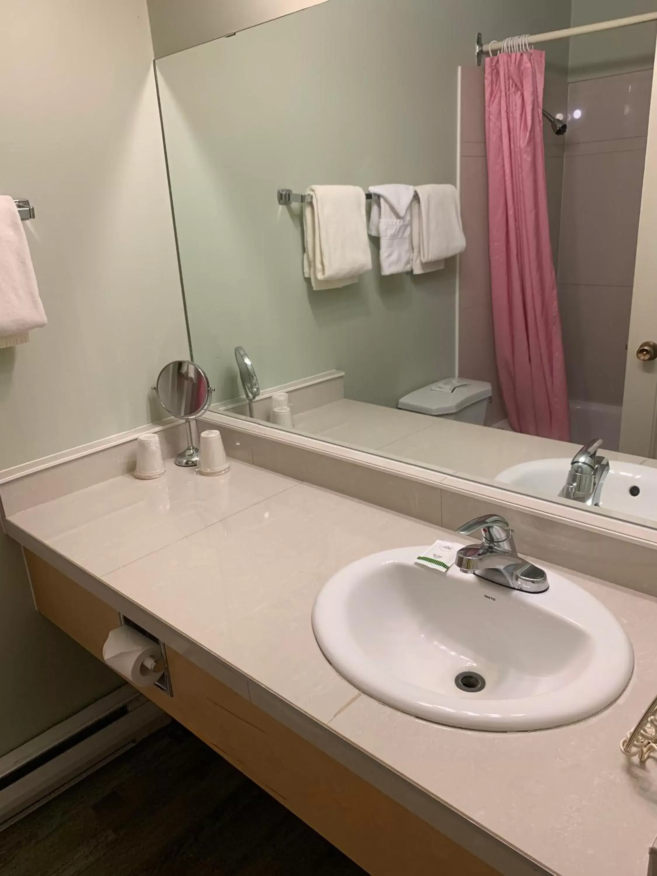 Bathroom in Windsor Motel