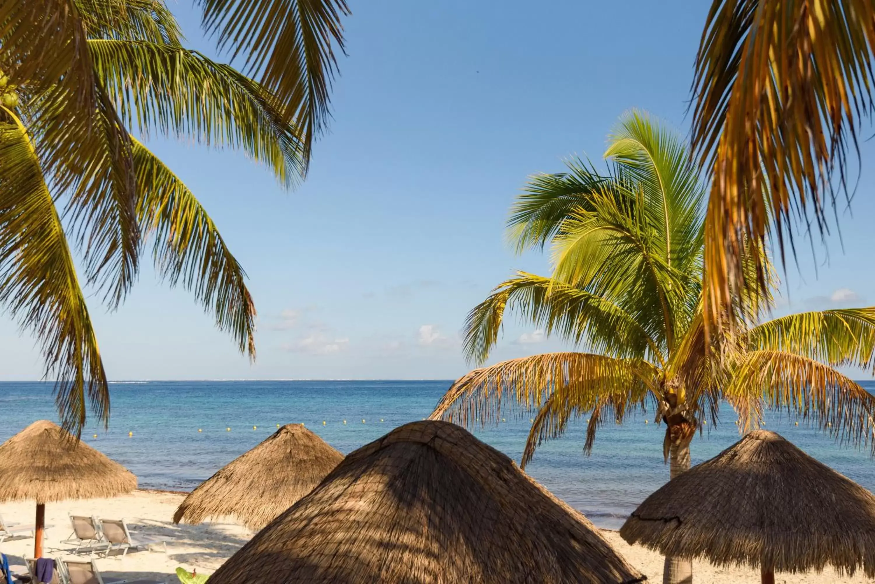 Pool view, Beach in Melia Cozumel All Inclusive