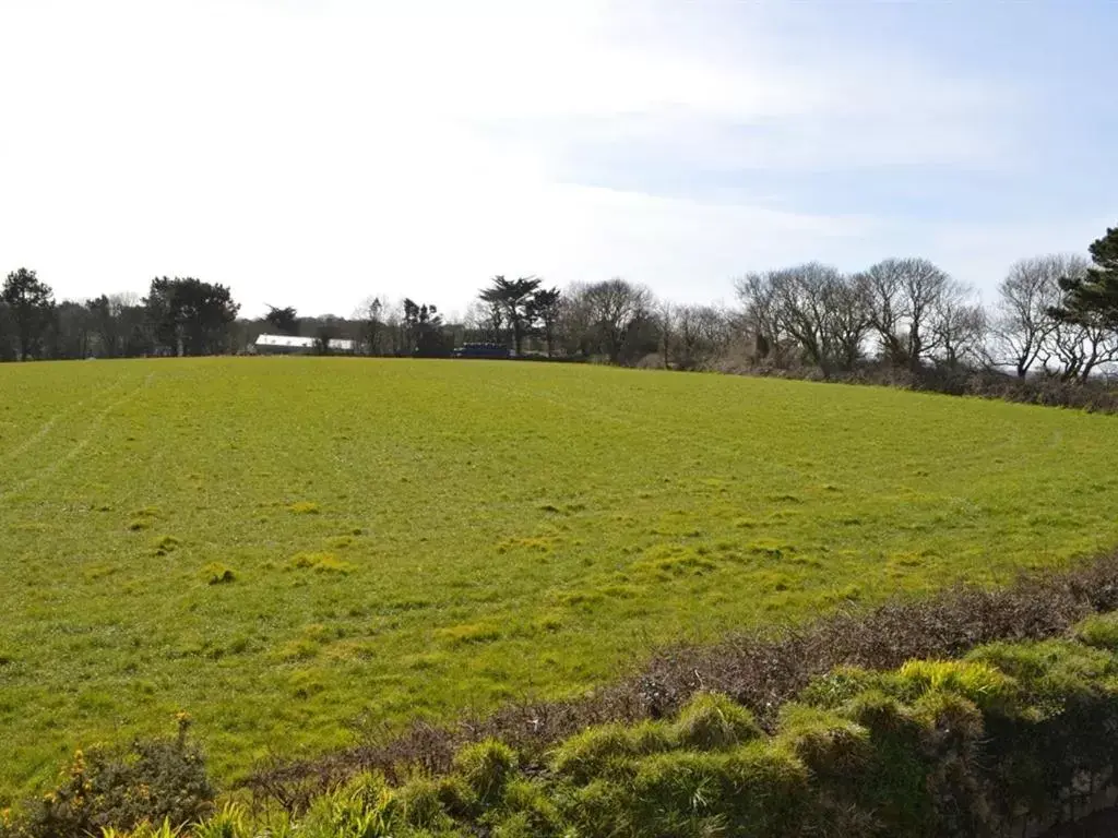 View (from property/room) in Trelawne Hotel