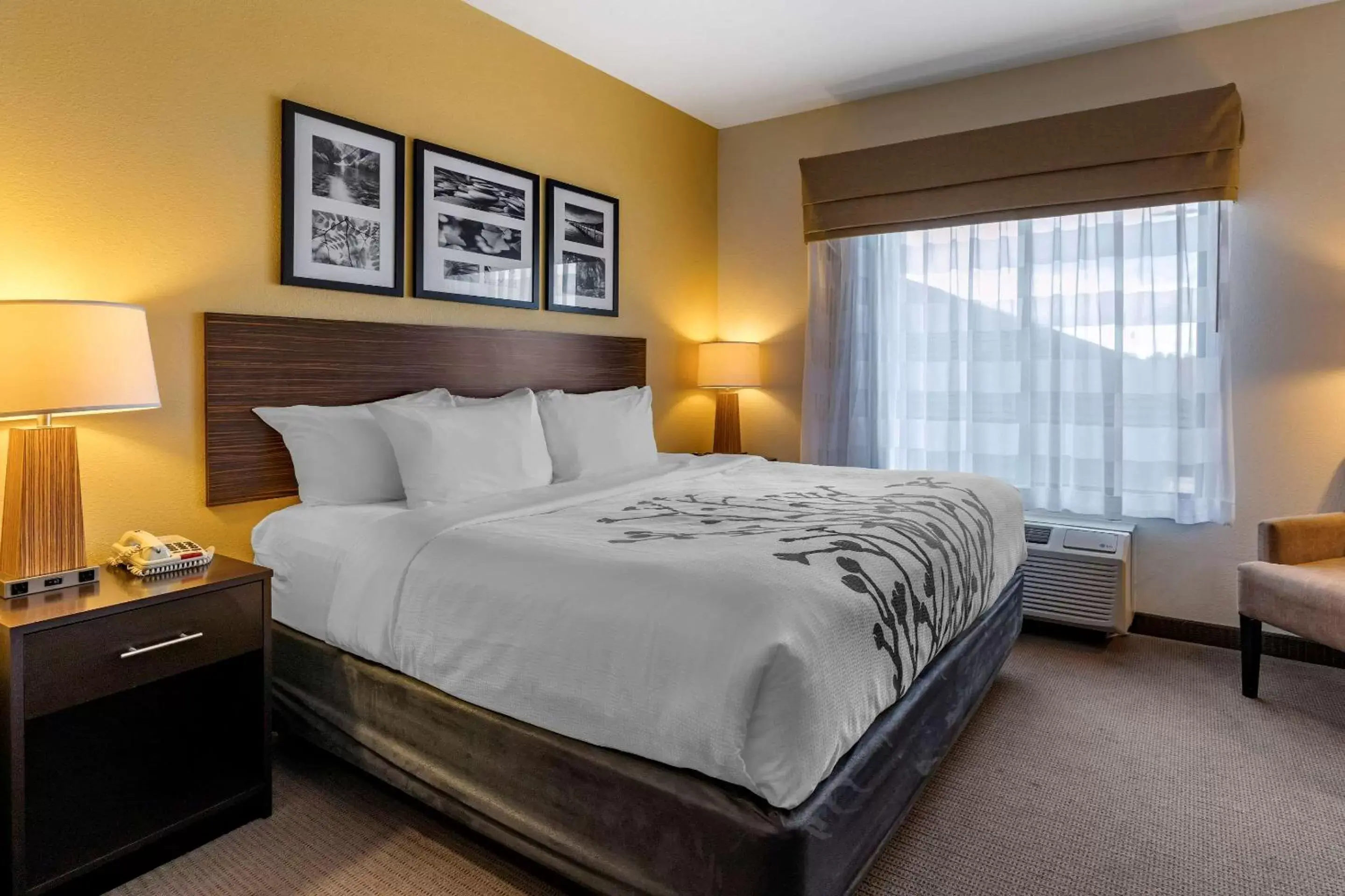 Photo of the whole room, Bed in Sleep Inn & Suites Miles City