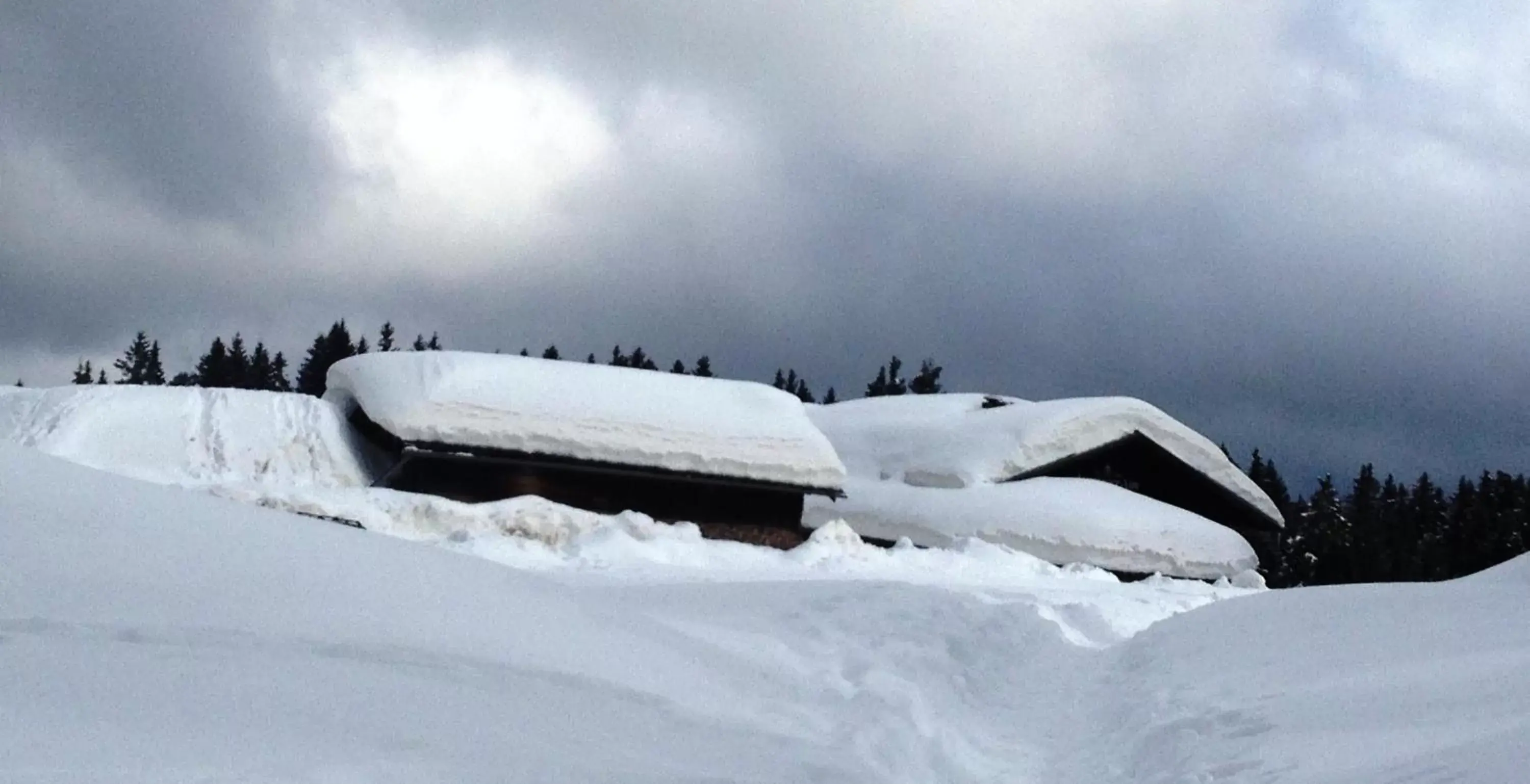 Skiing, Winter in Hotel Orso Grigio