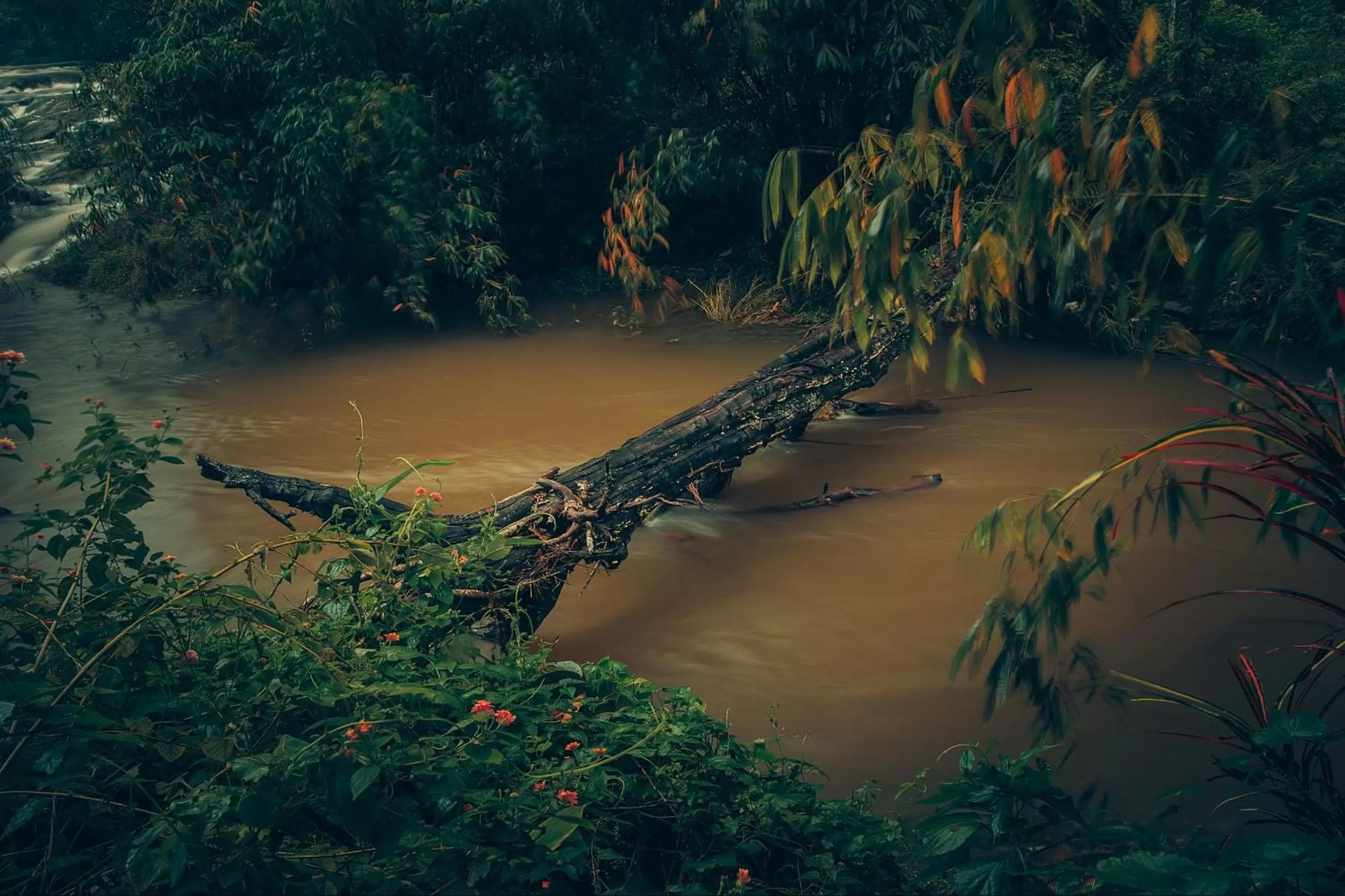River view in Ela Ecoland Nature Retreat