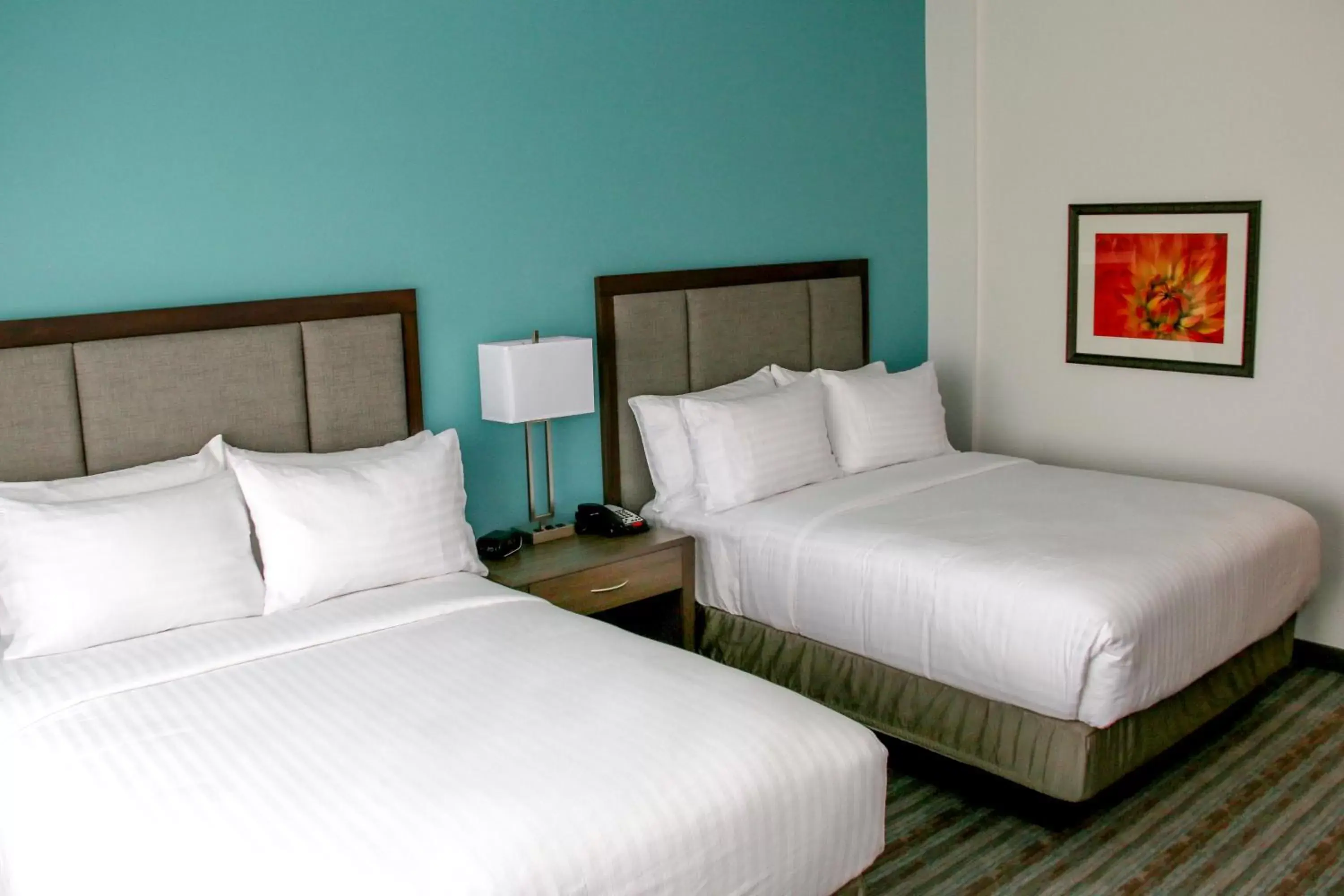 Photo of the whole room, Bed in Holiday Inn Hotel & Suites Denver Tech Center-Centennial, an IHG Hotel