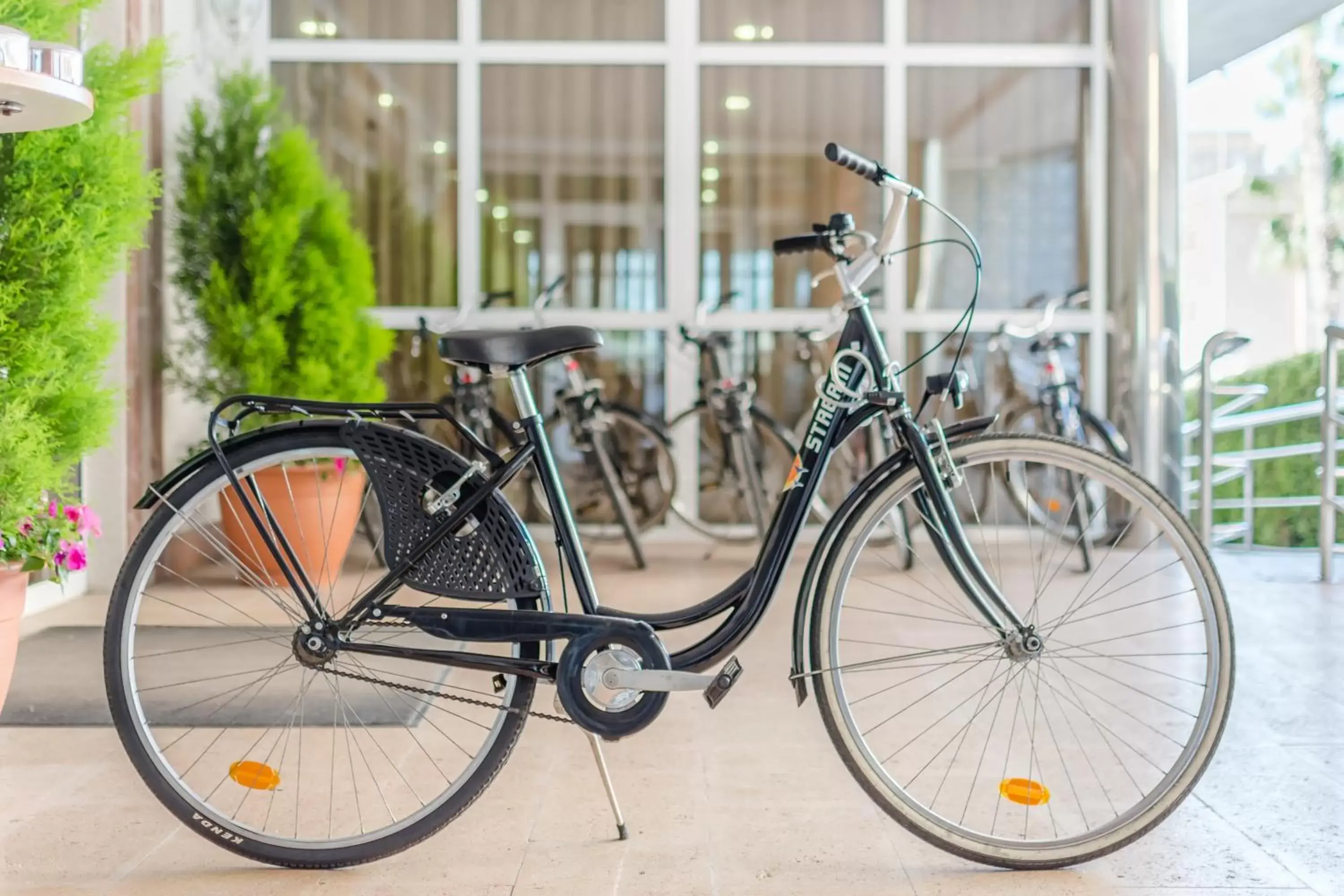 Cycling, Other Activities in Hotel Gran Playa