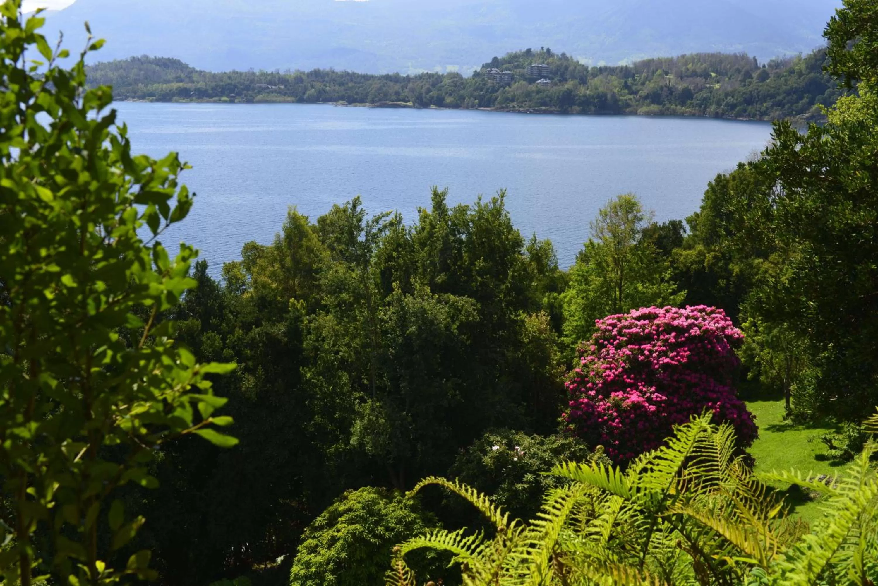 View (from property/room) in Hotel Antumalal