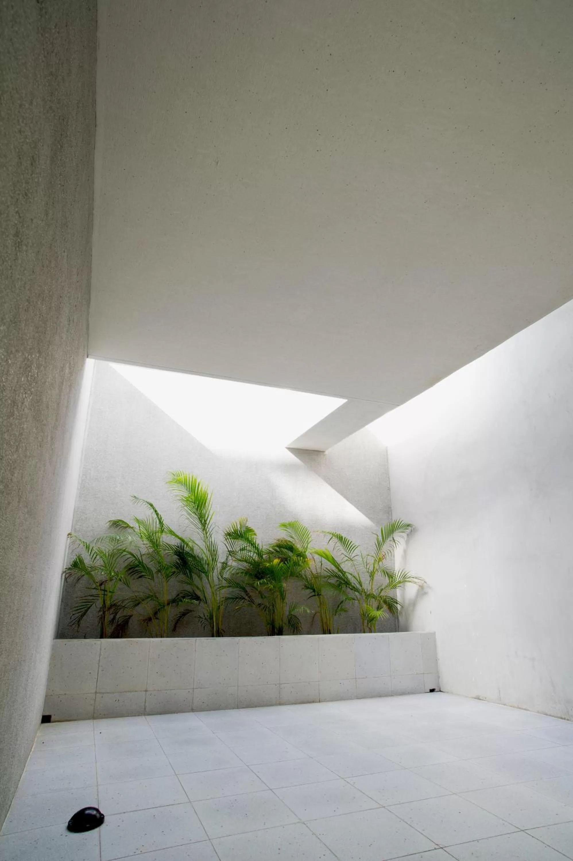 Decorative detail in FFF Hotel