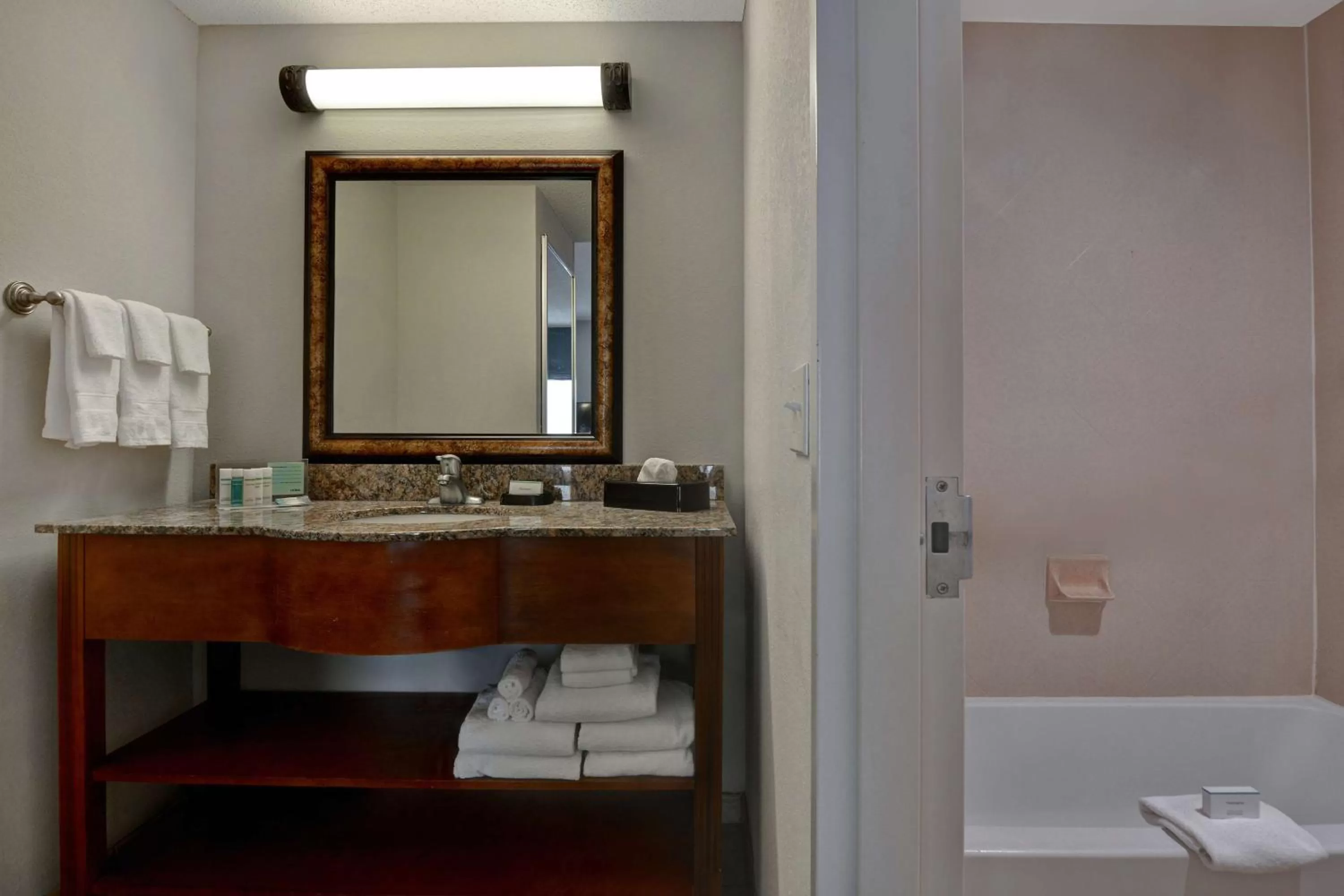 Bathroom in Hampton Inn & Suites Birmingham-Hoover-Galleria