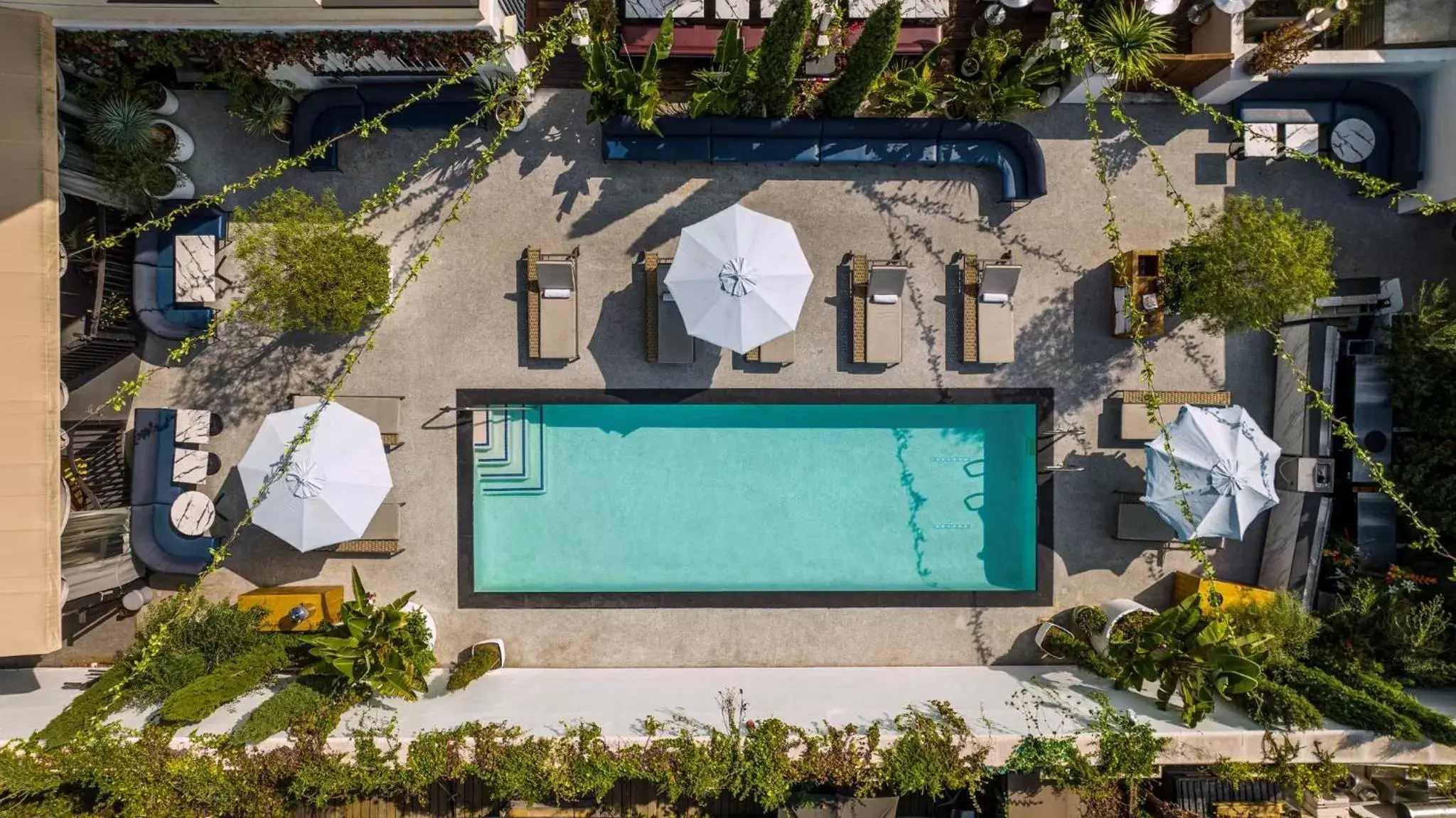 Swimming pool, Pool View in Kimpton La Peer Hotel West Hollywood, an IHG Hotel