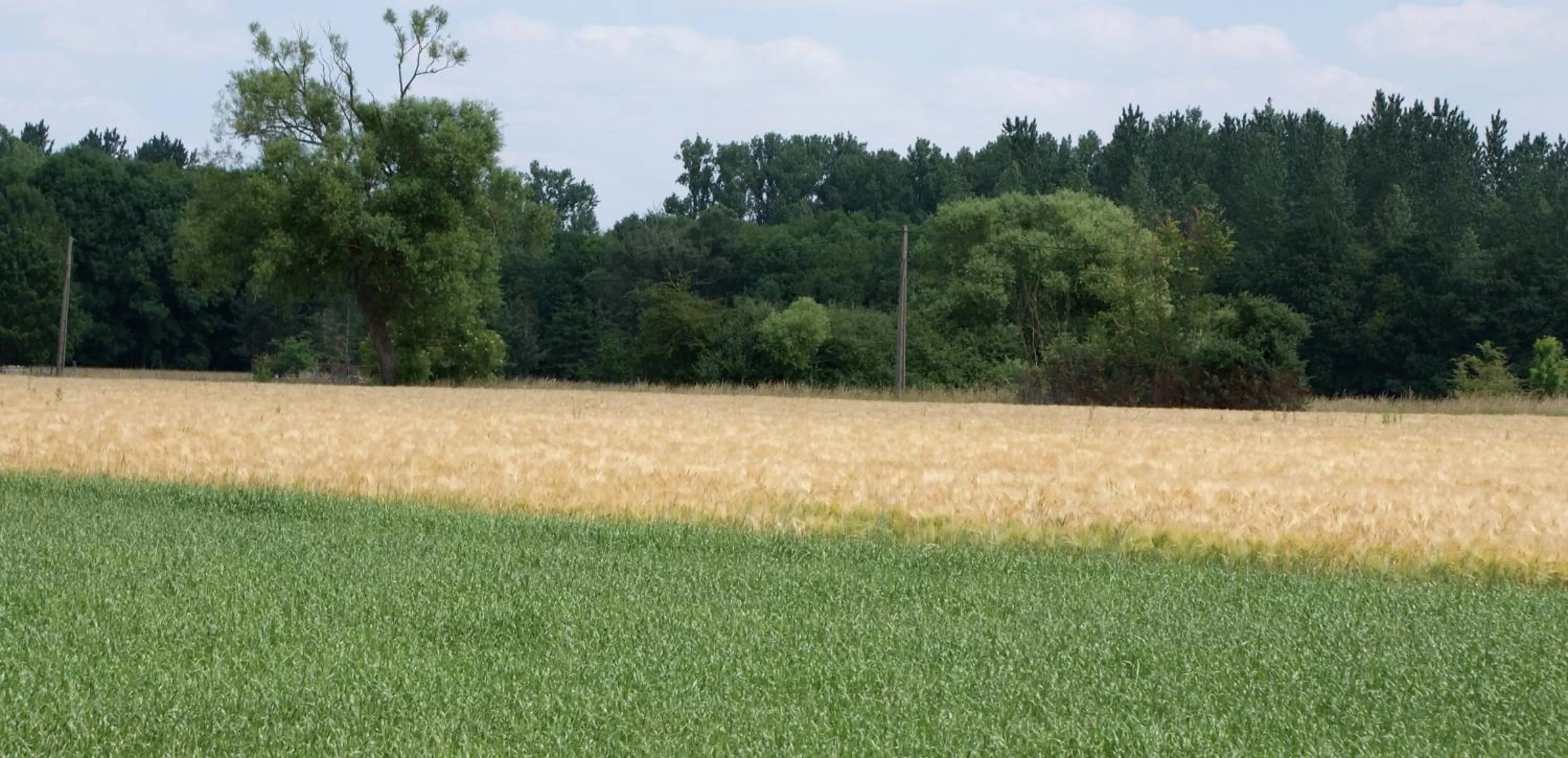 Natural landscape in B&B Silentium