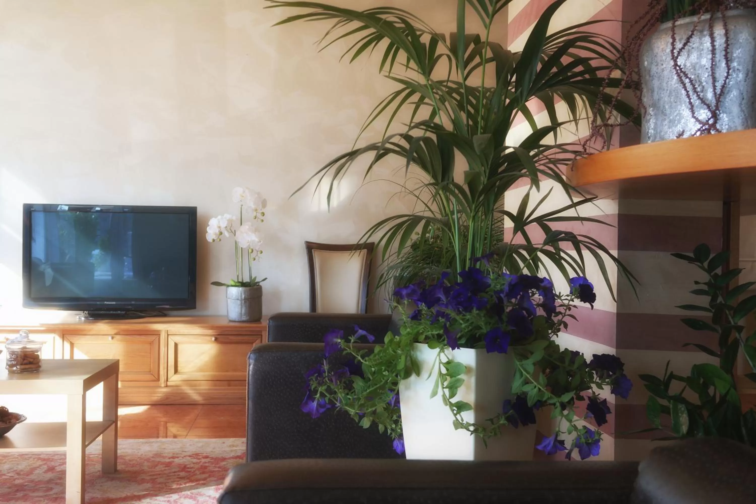 Lobby or reception in Hotel Vittoria