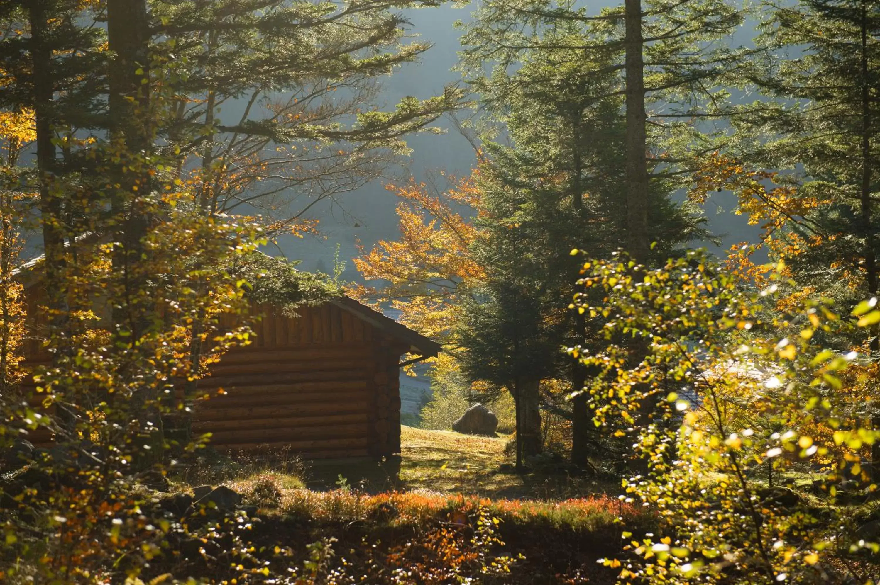 Autumn, Property Building in Le Couarôge Chalets et Appartements