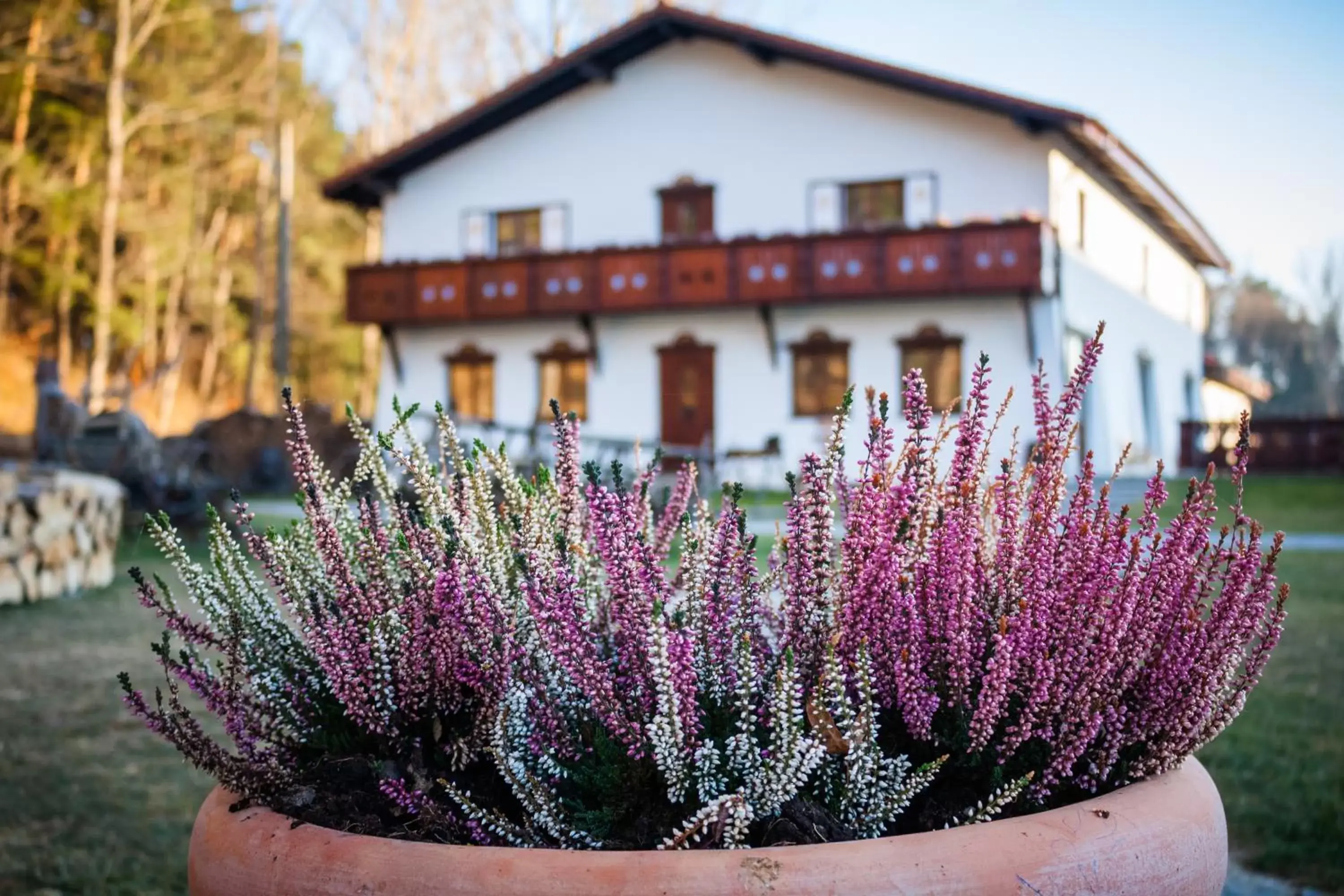 Decorative detail, Property Building in Wolkendorf Bio Hotel & Spa