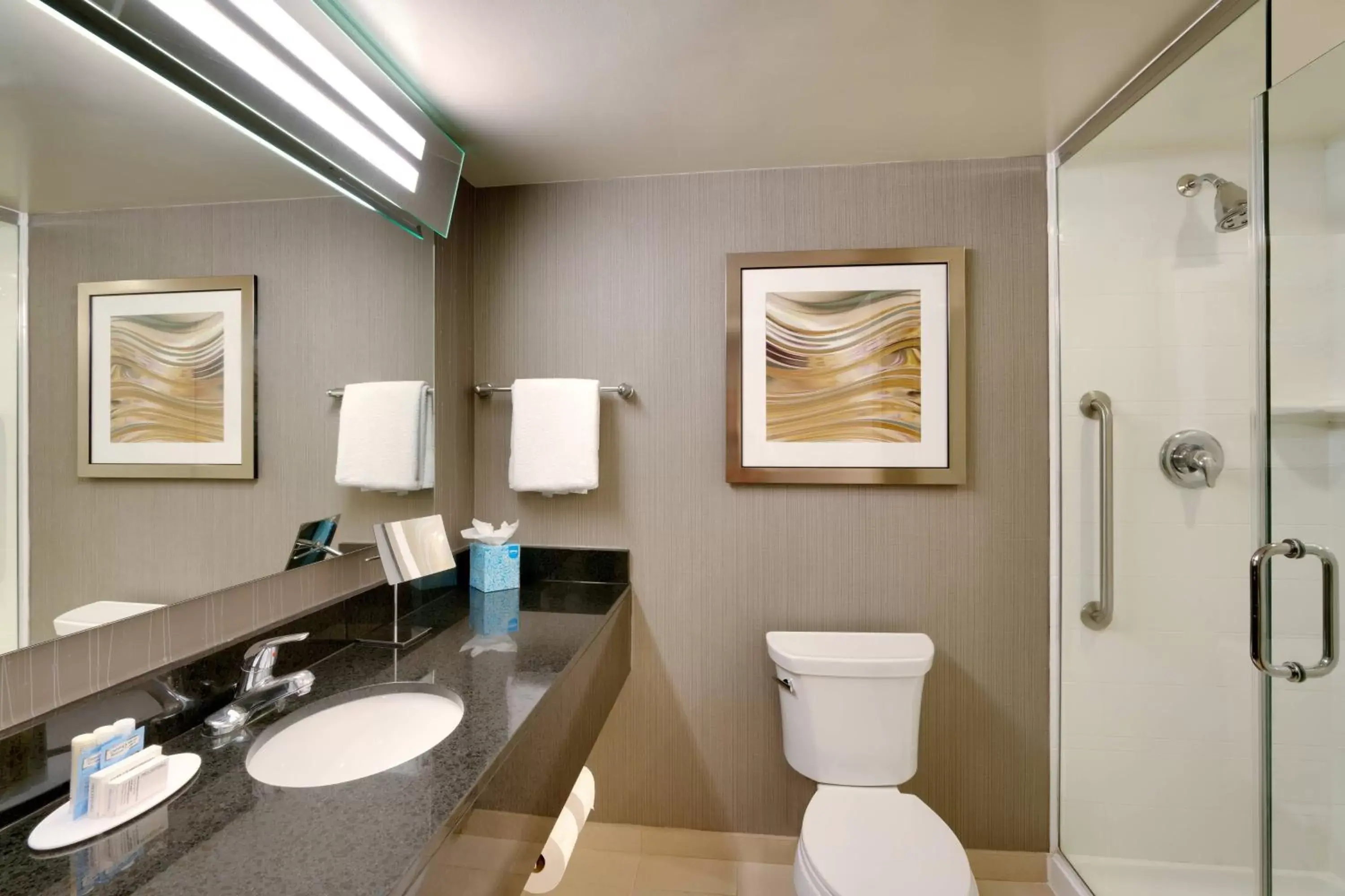 Bathroom in Courtyard by Marriott Charlotte Airport/Billy Graham Parkway