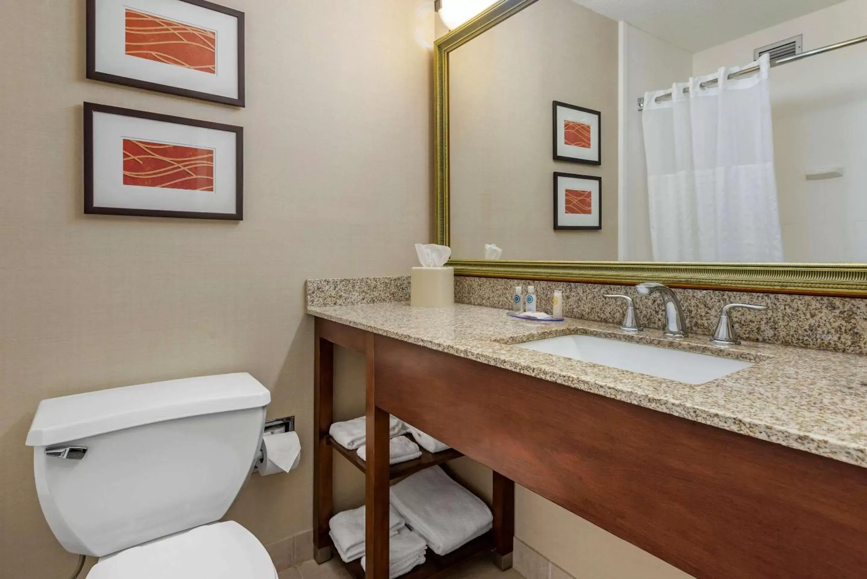 Bathroom in Comfort Inn Lancaster County North