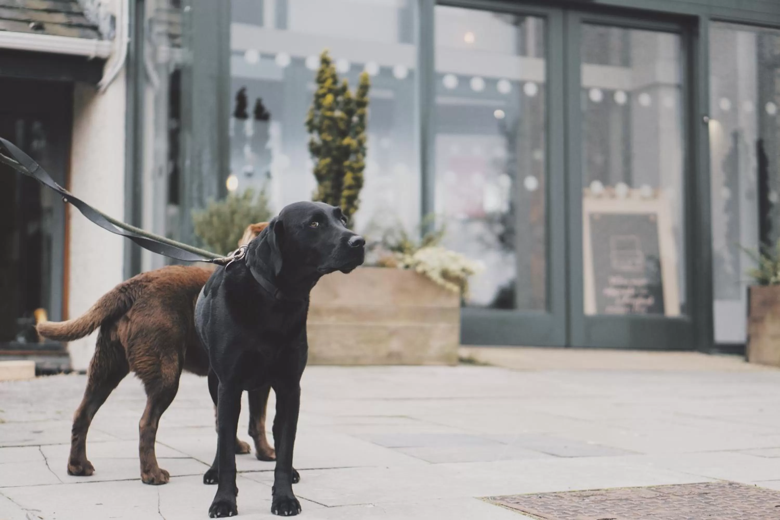 Property building in Westmorland Hotel Tebay