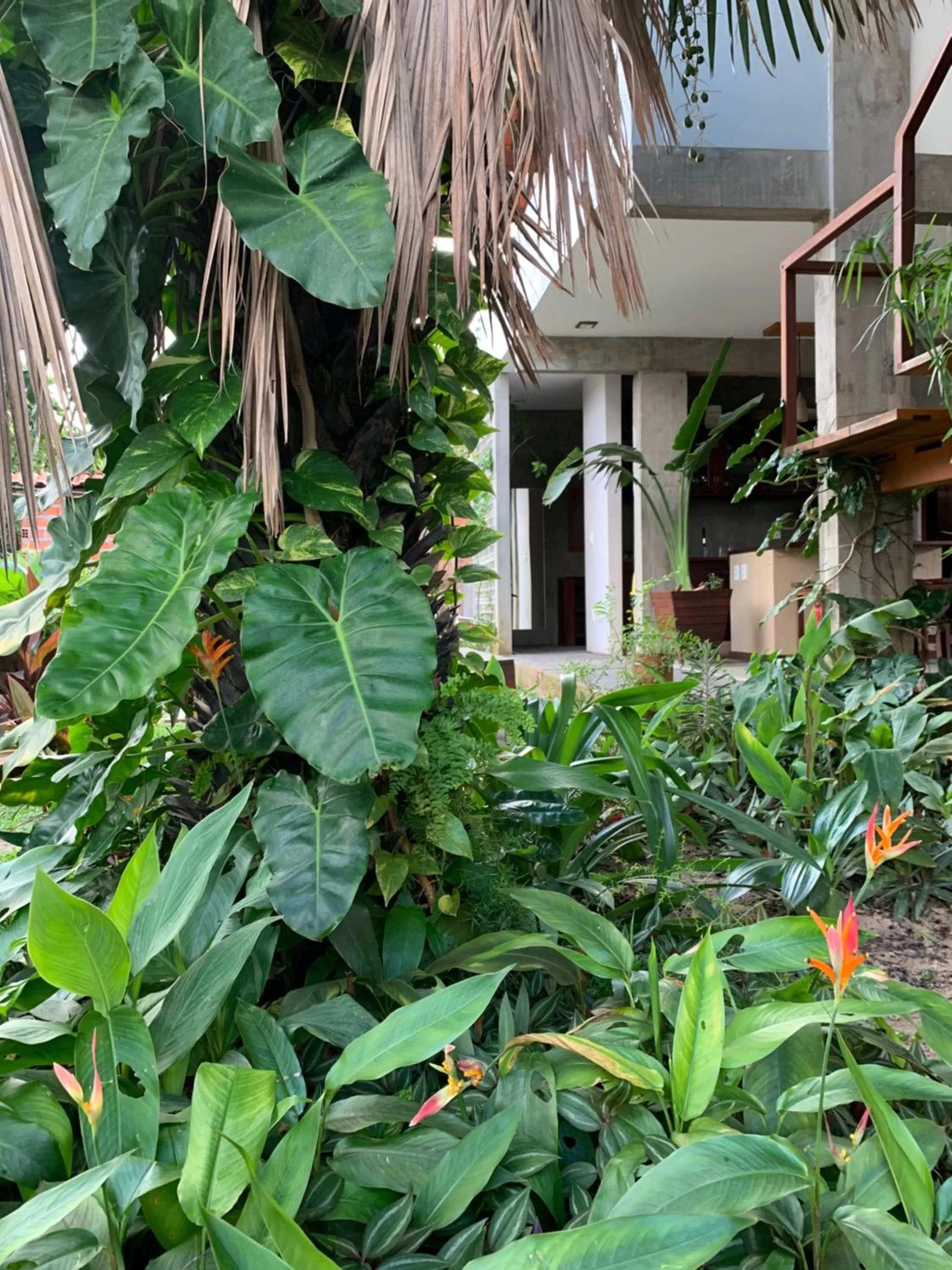 Garden in Vila das Águas