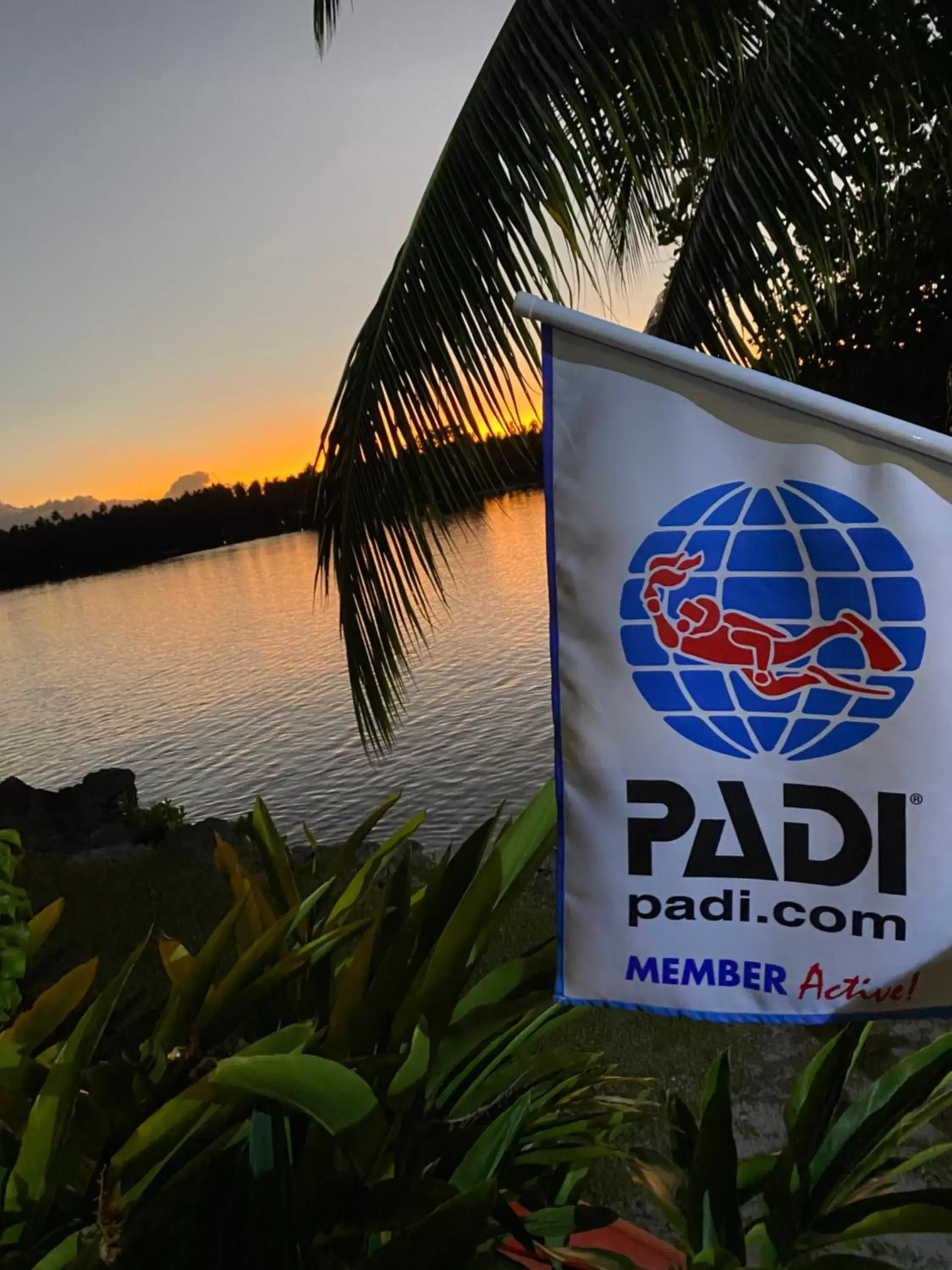 Diving in Turtle Bay Lodge