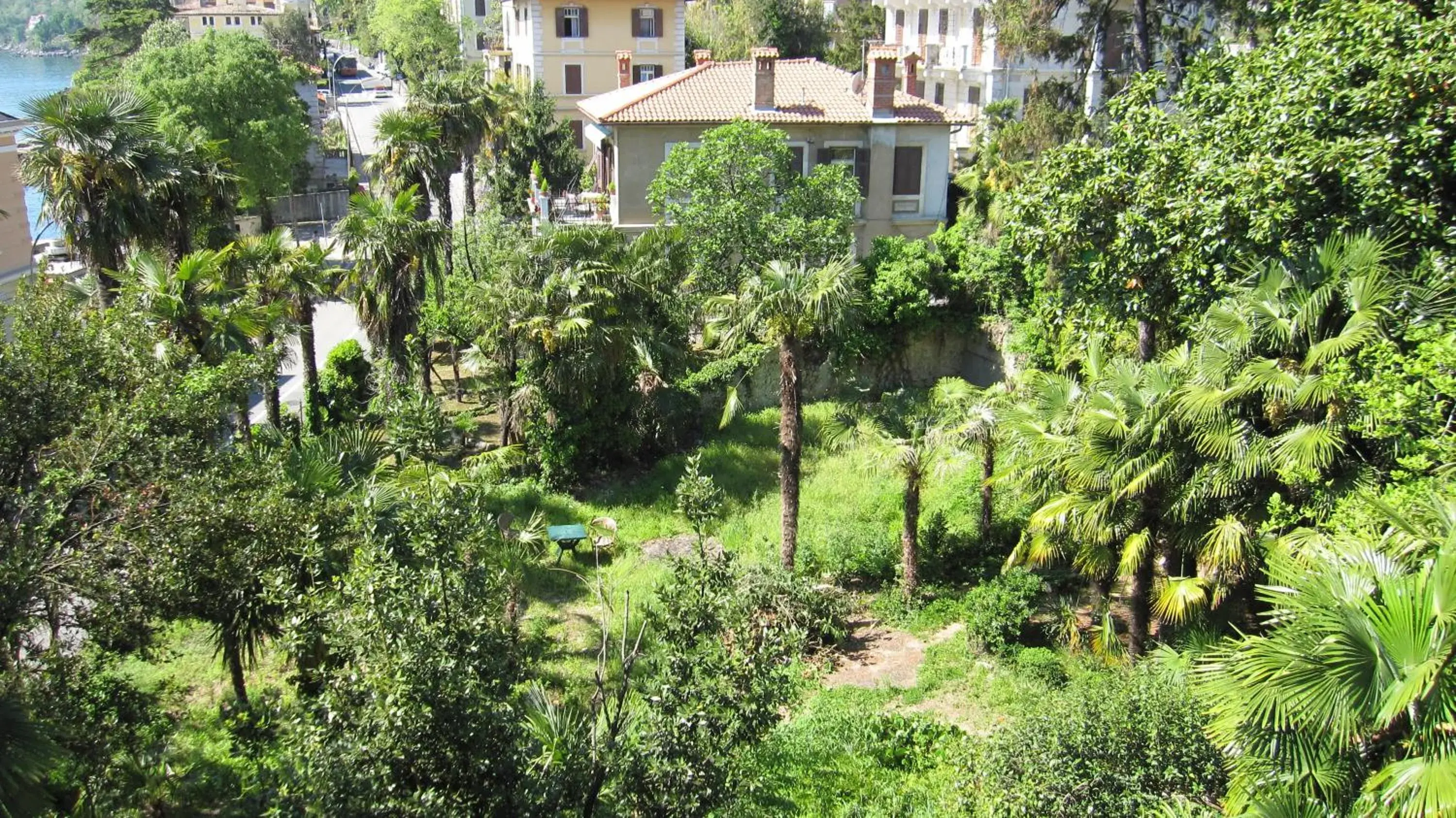 Garden, Property Building in Hotel Park