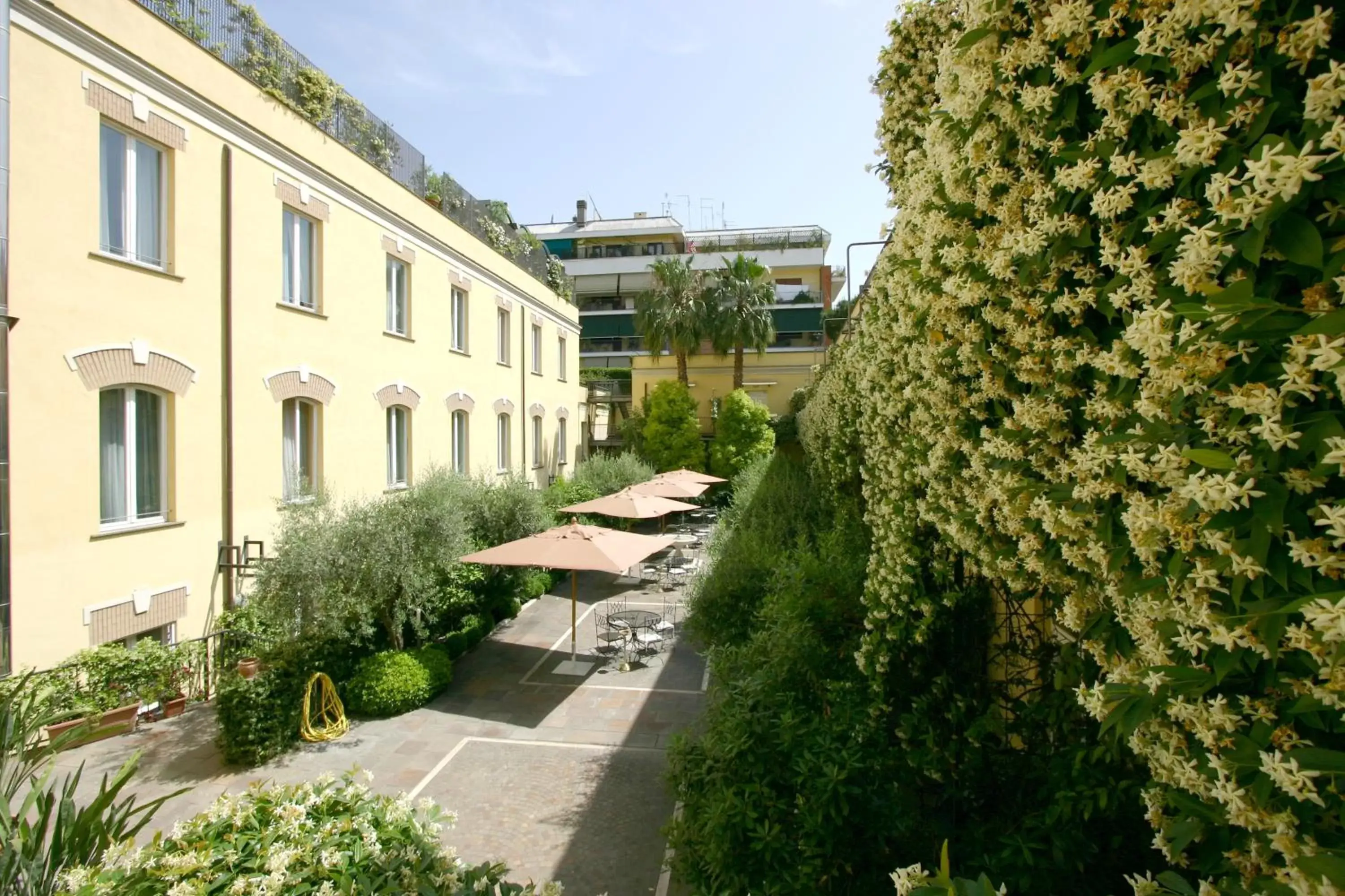 Garden view in Ateneo Garden Palace