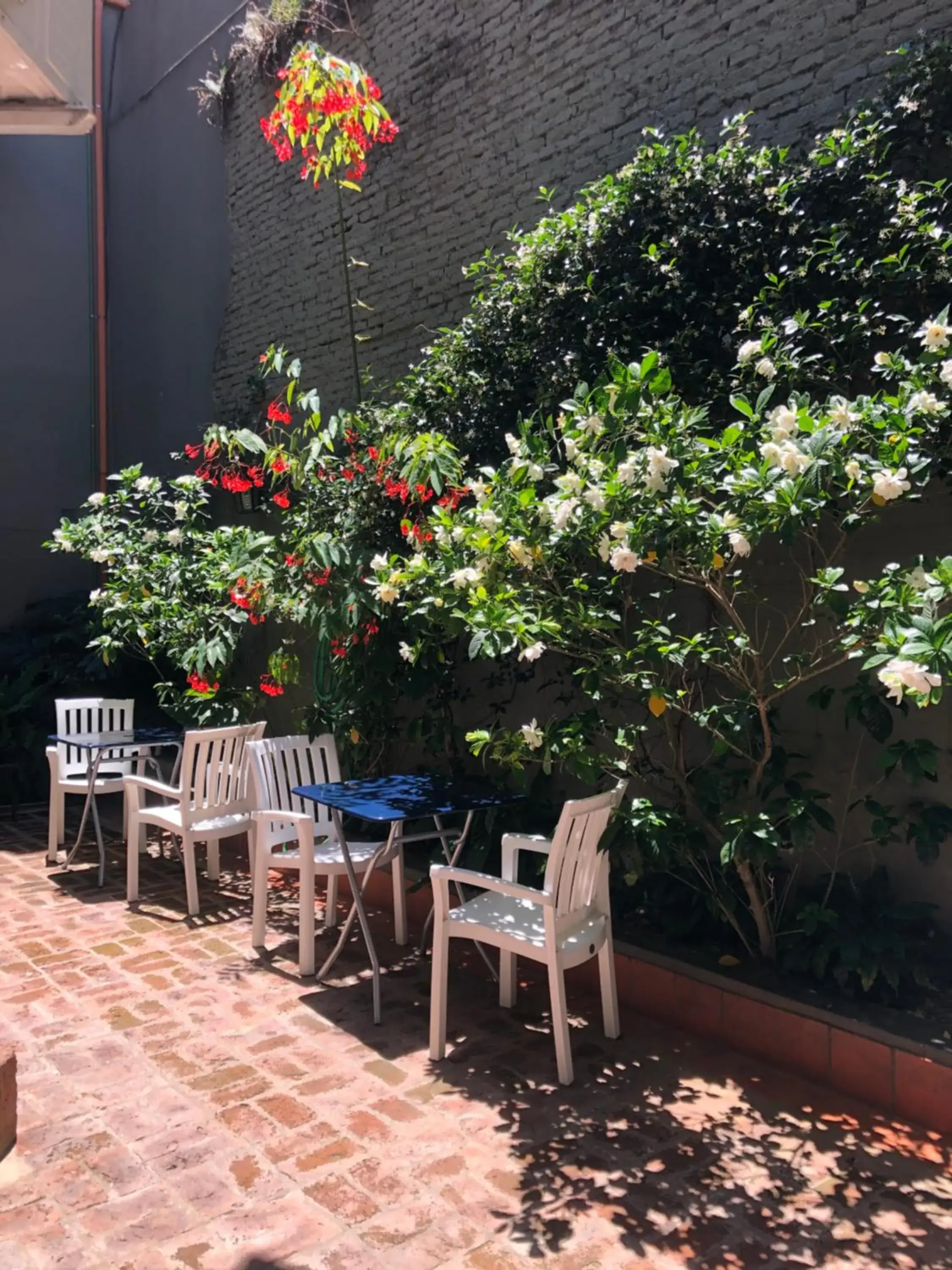 Patio in Sissi Haz Hotel