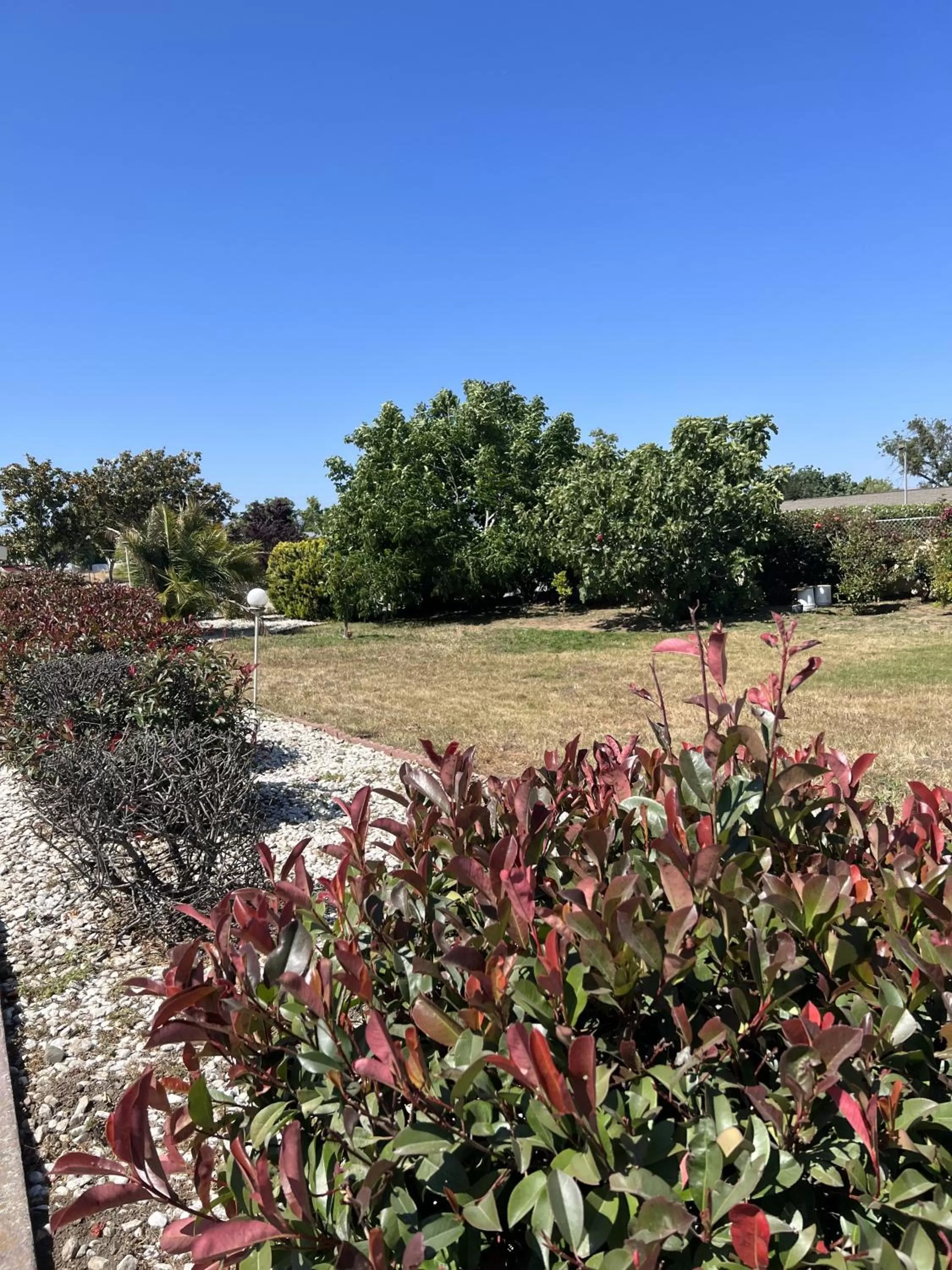 Garden view in Travel Inn Gilroy