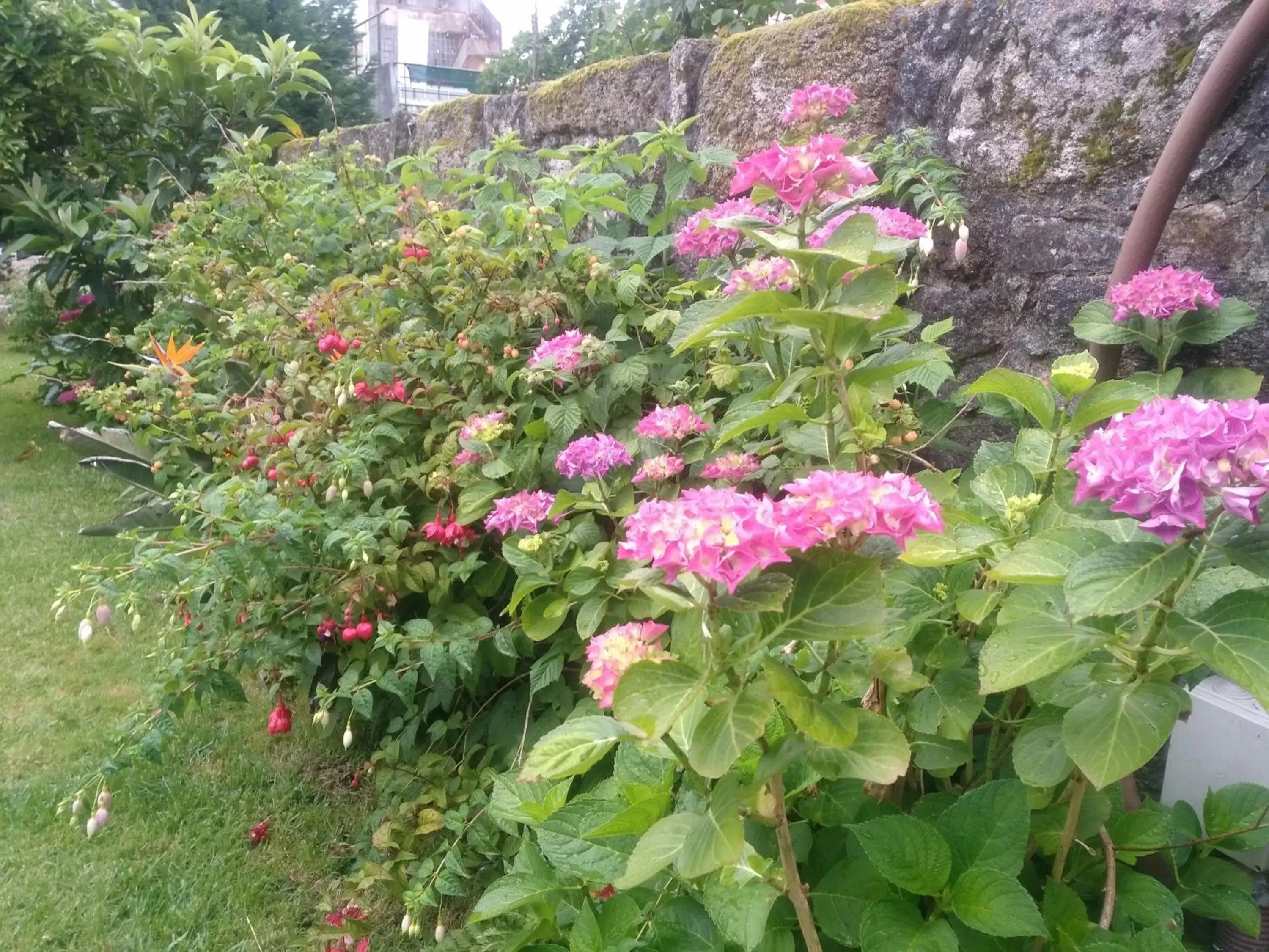 Garden in Hotel Mira D'Aire