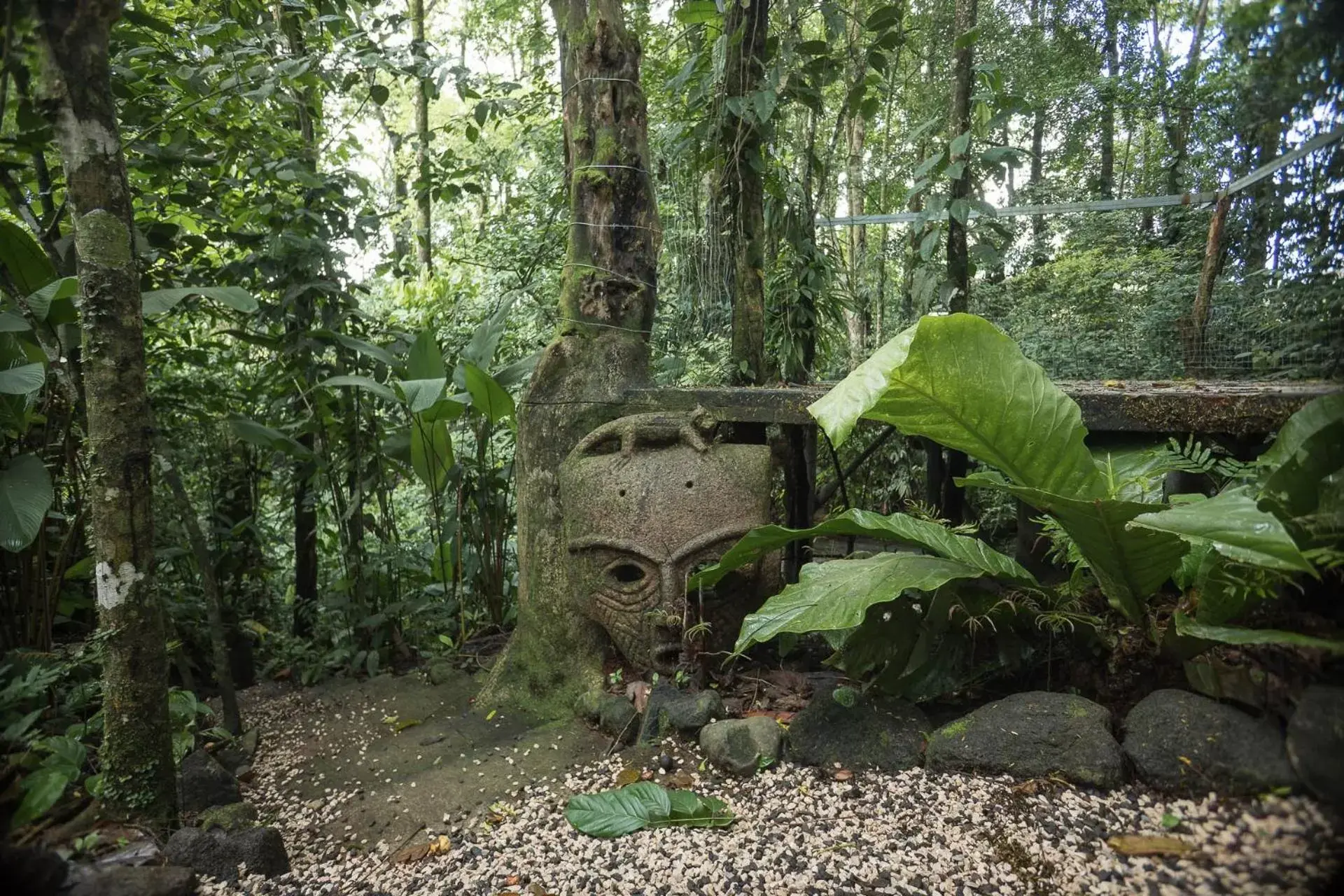 Natural landscape in Cabañas del Rio