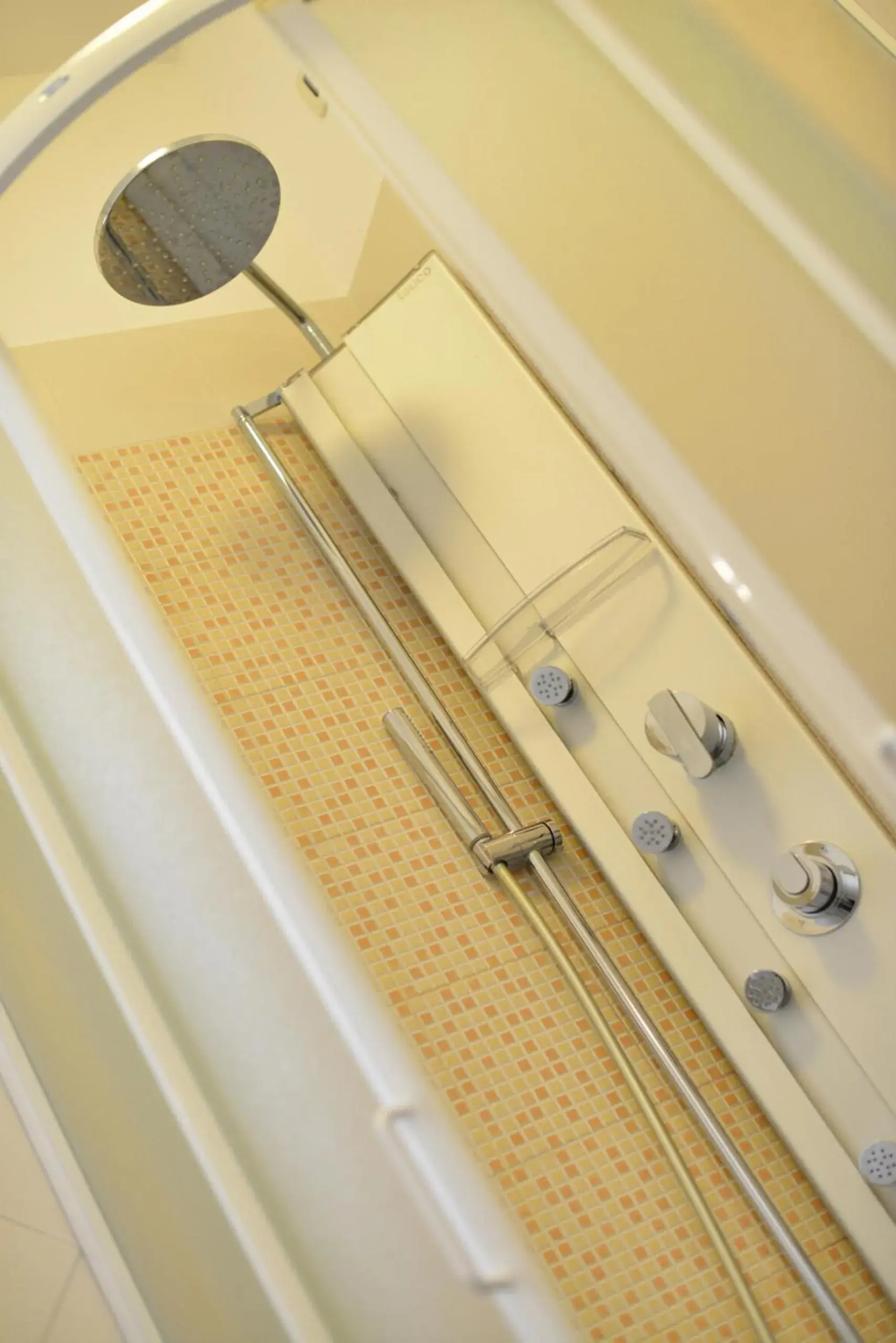 Shower, Bathroom in Hotel Rosignano