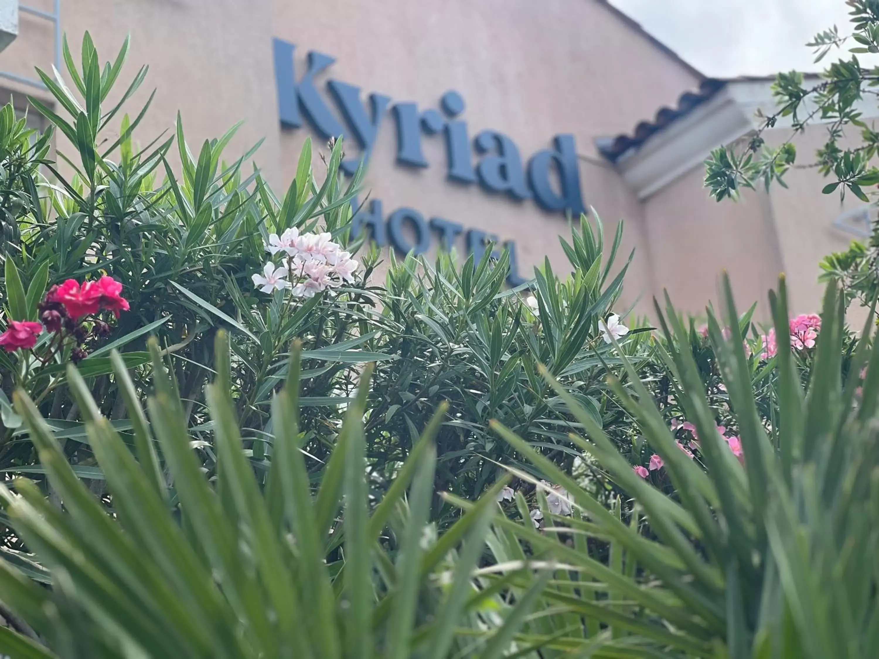 Property building in Kyriad Frejus - Centre