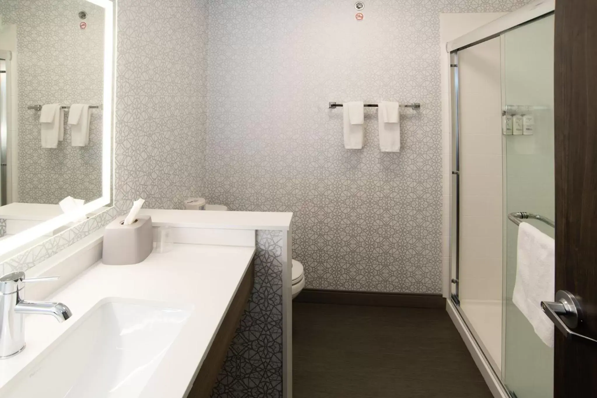 Photo of the whole room, Bathroom in Holiday Inn Express & Suites - Moose Jaw, an IHG Hotel