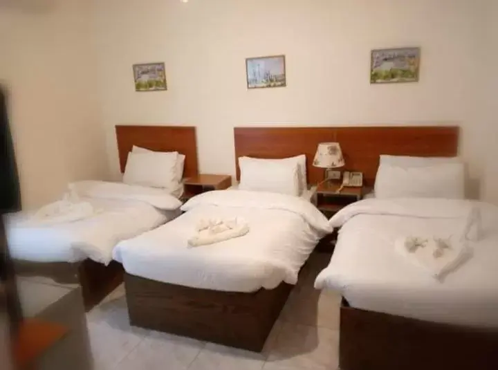 Photo of the whole room, Bed in New Park Hotel