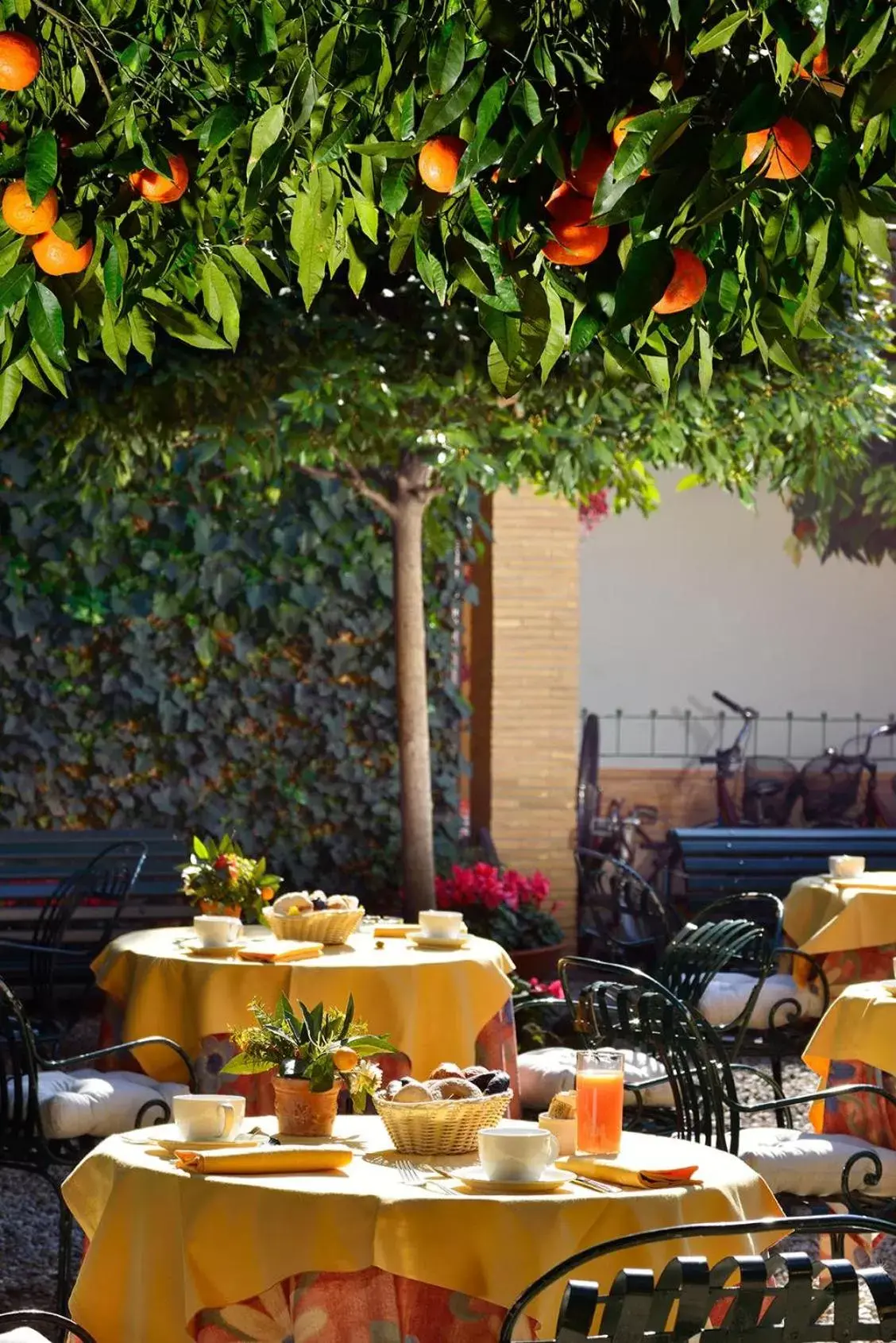 Restaurant/places to eat in Hotel Santa Maria Restaurant/places to eat in Hotel Santa Maria