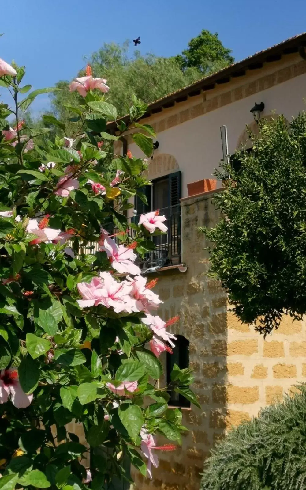 Garden, Property Building in Villa La Lumia B&B Suites & Apartments