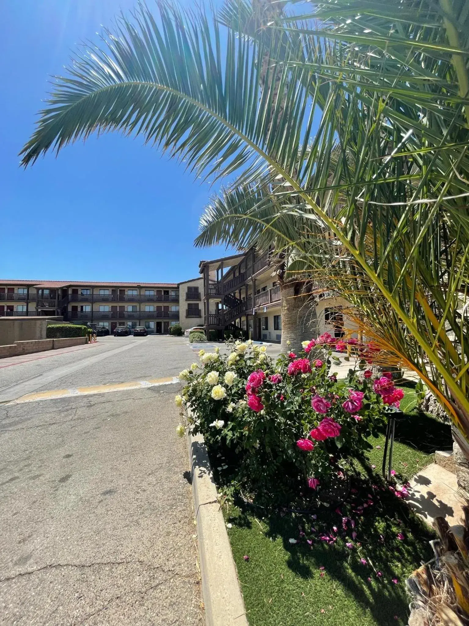 Property Building in Palms Inn & Suites