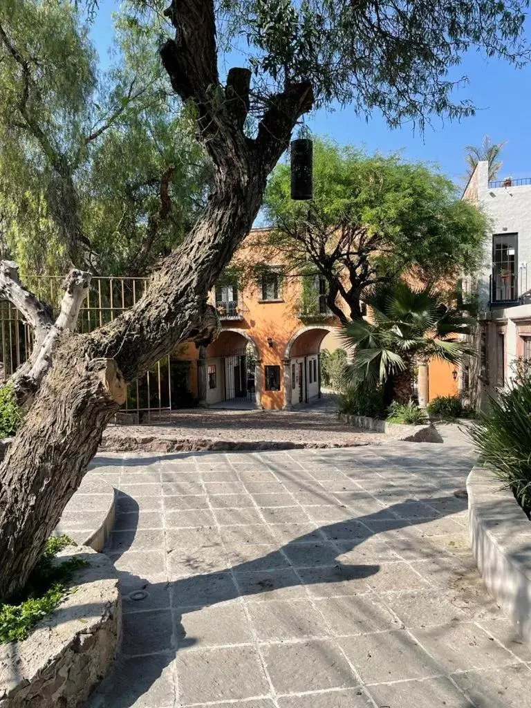 Spring, Property Building in Casa Goyri San Miguel de Allende