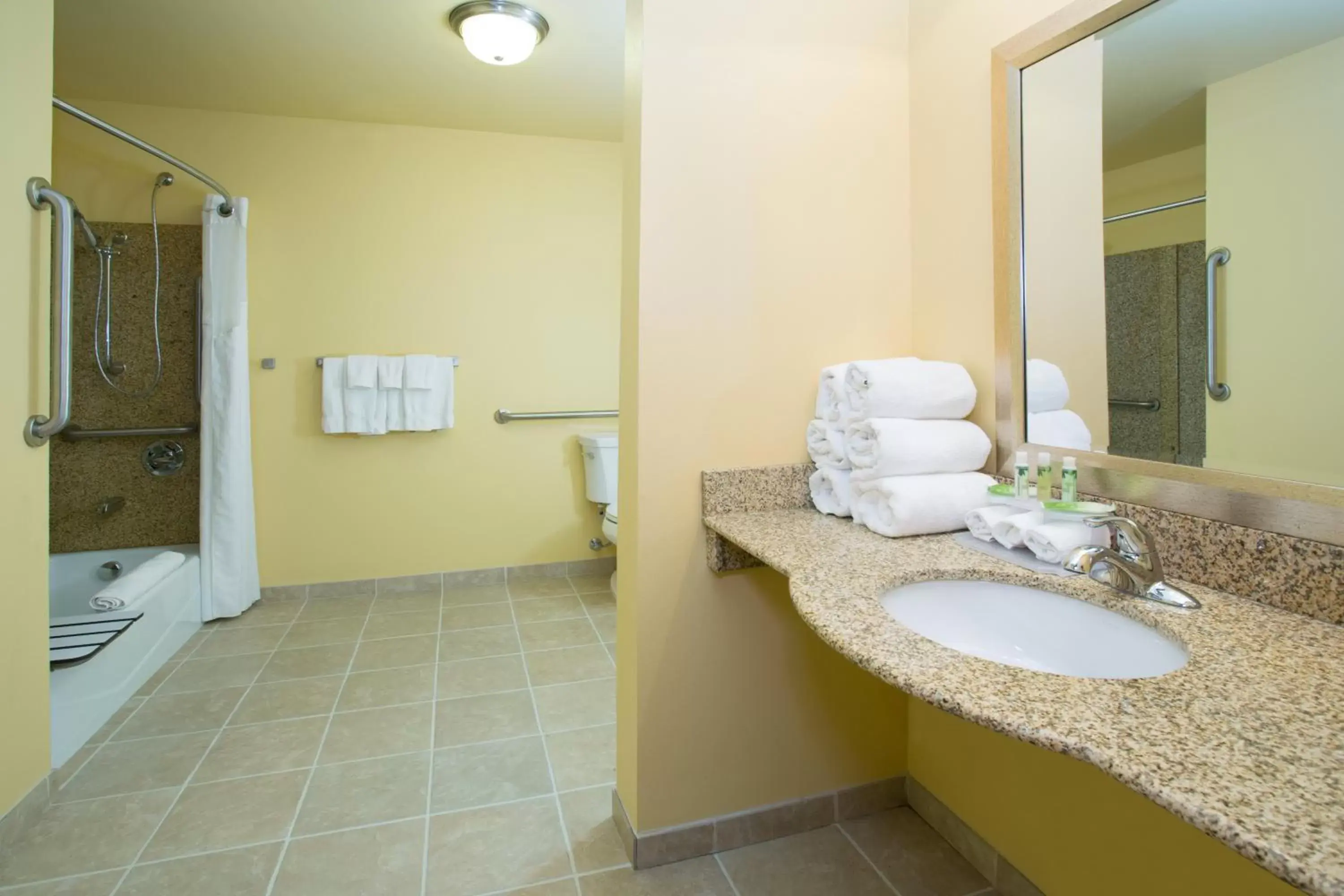 Bathroom in Holiday Inn Express & Suites Denver North - Thornton, an IHG Hotel