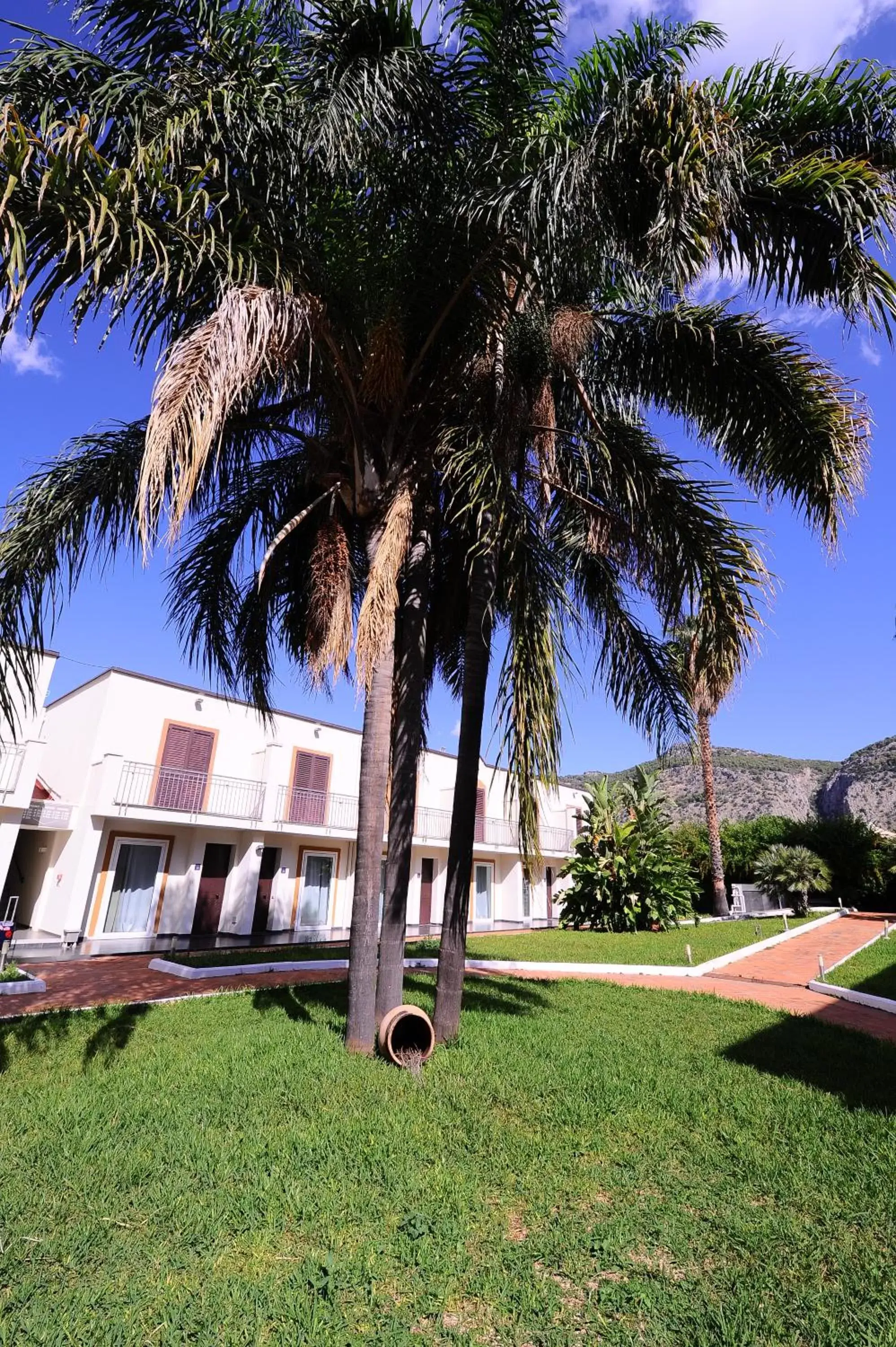 Garden in Casena Dei Colli, Sure Hotel Collection By Best Western