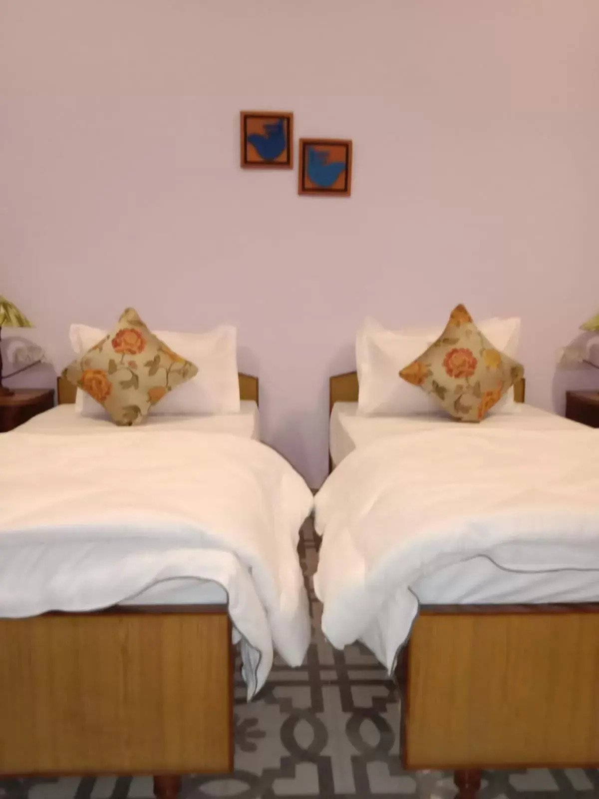 Standard Double or Twin Room - single occupancy in Sankhu Niwas Standard Double or Twin Room - single occupancy in Sankhu Niwas